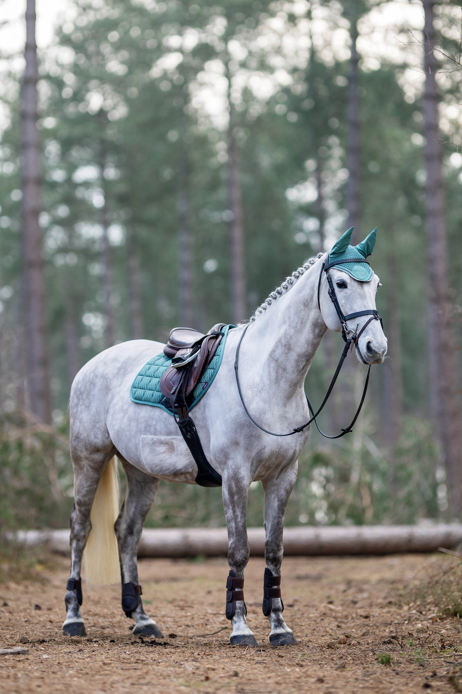 LeMieux klassisk fluehette