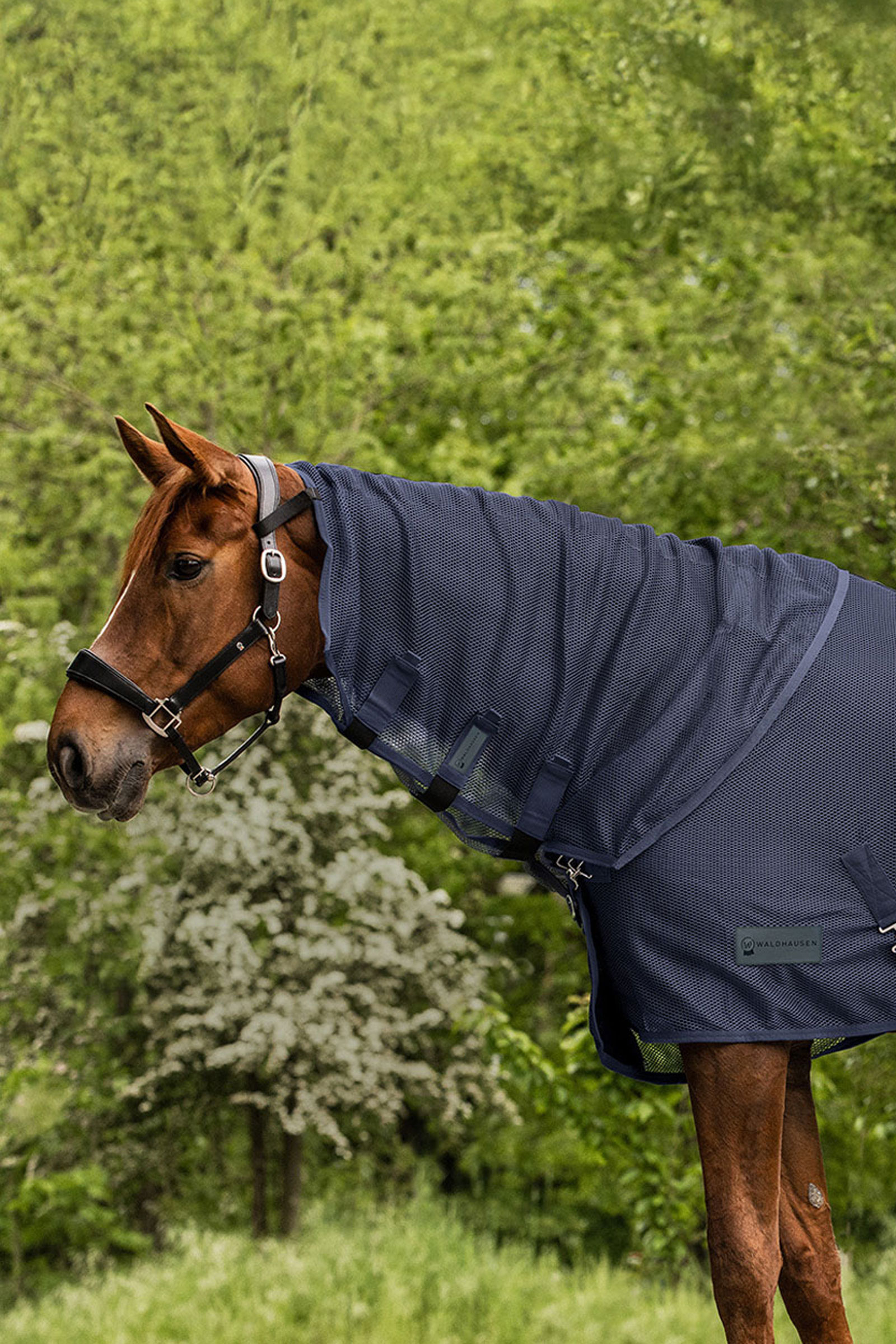 Night Blue Waldhausen Comfort fluehalsbeskytter