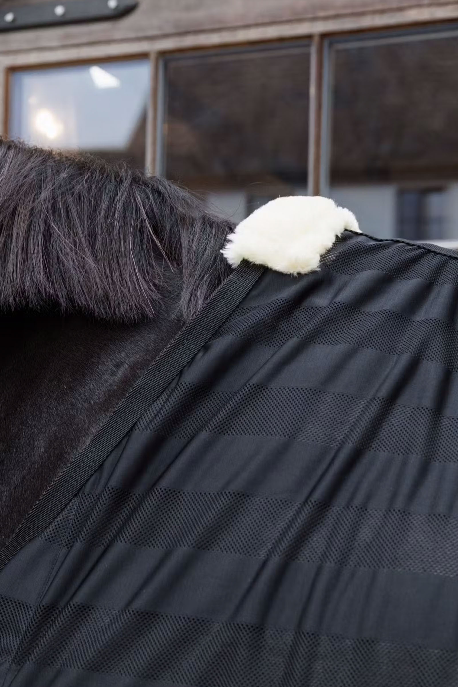 Kentucky Horsewear lett stripet flueteppe i mesh