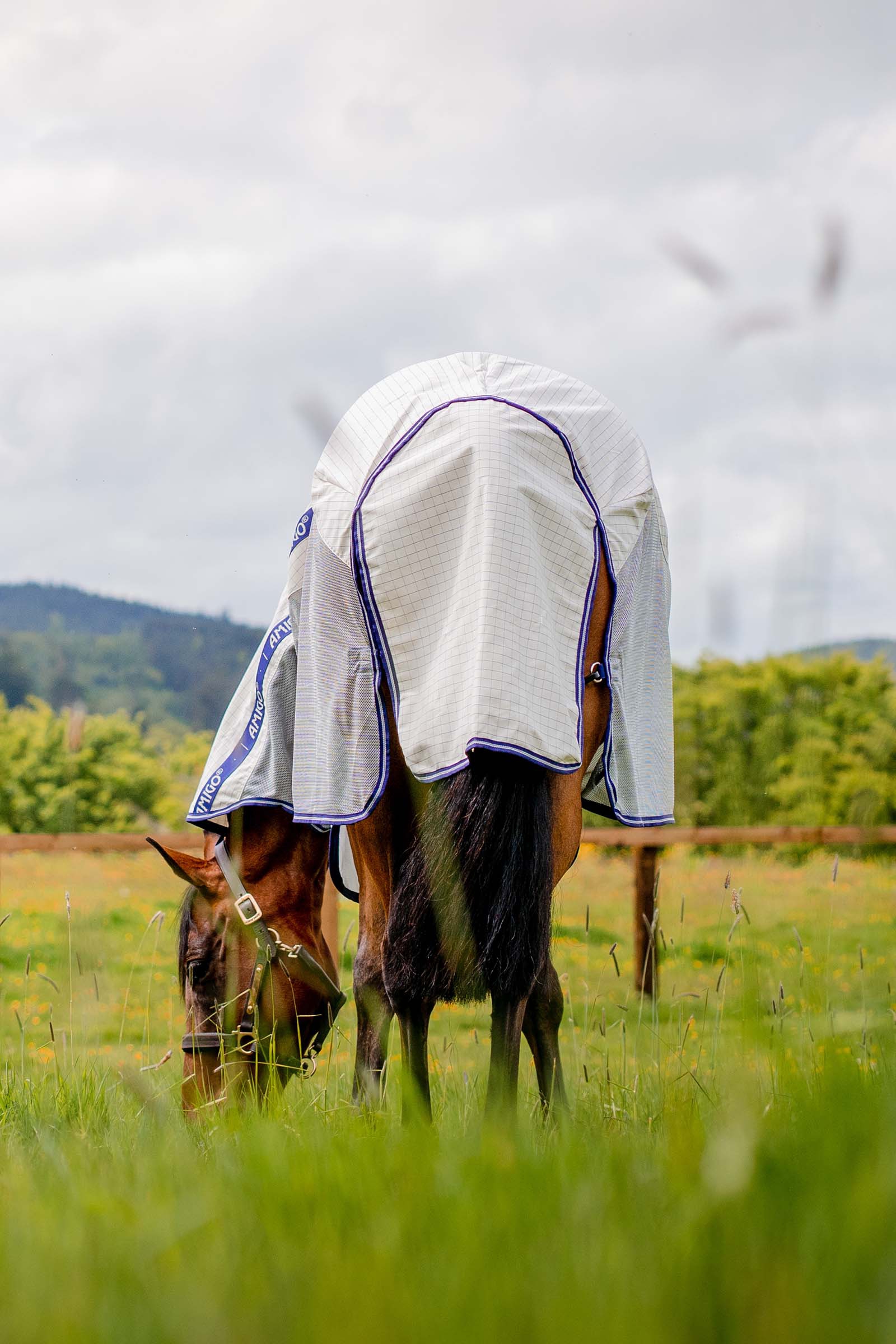 Horseware Amigo Airflow flueteppe med avtakbar nakkedel