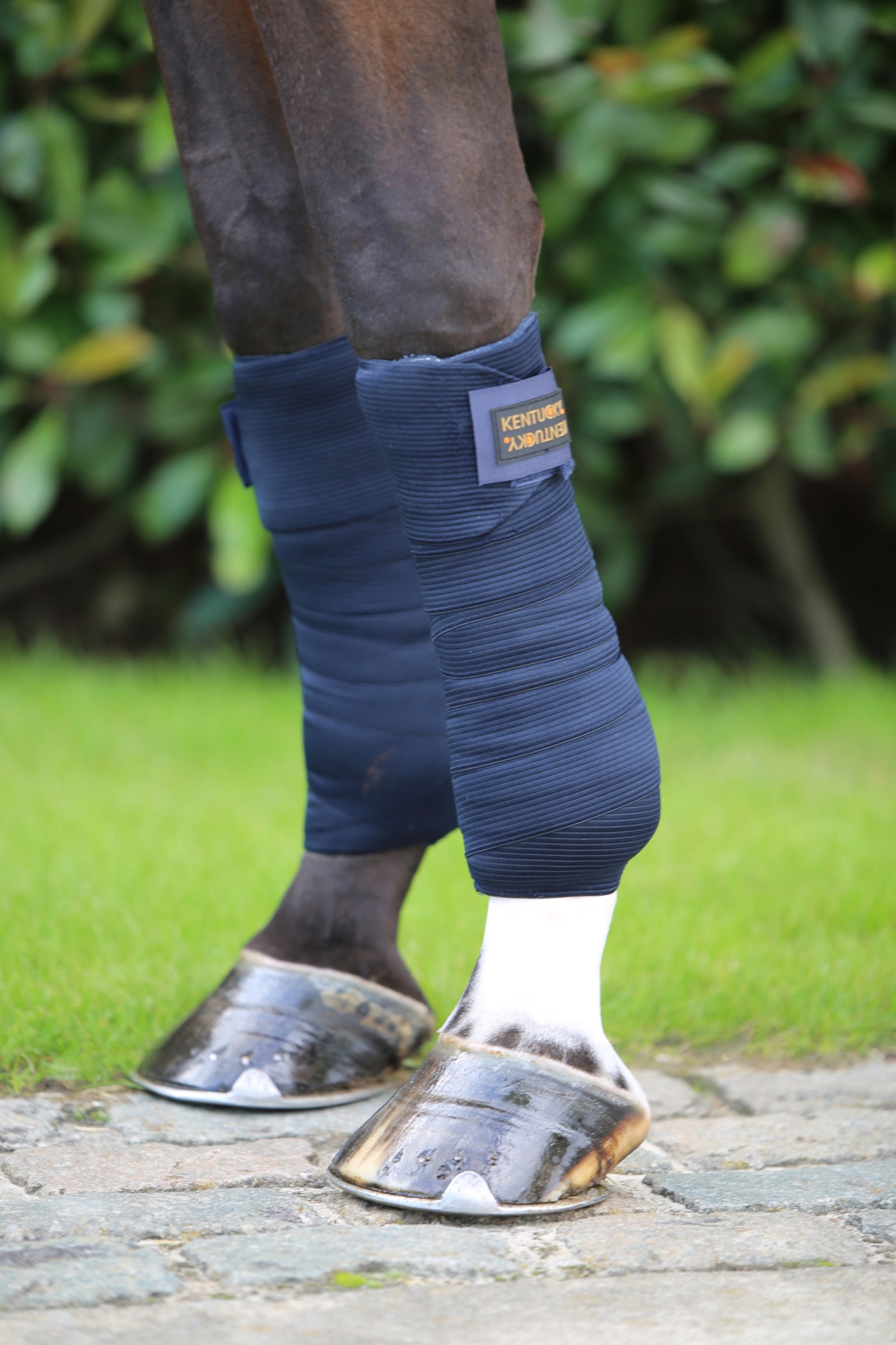 Kentucky Horsewear elastisk bandasje