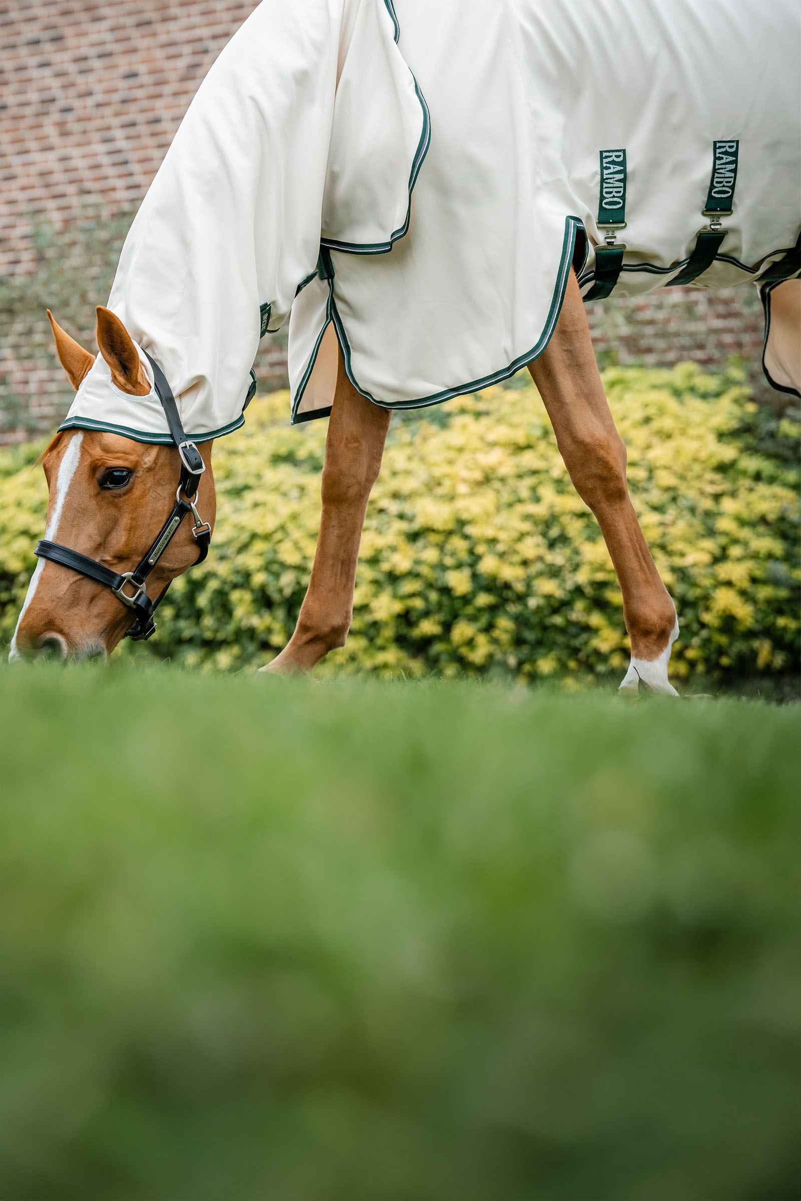 Horseware Rambo Hoody