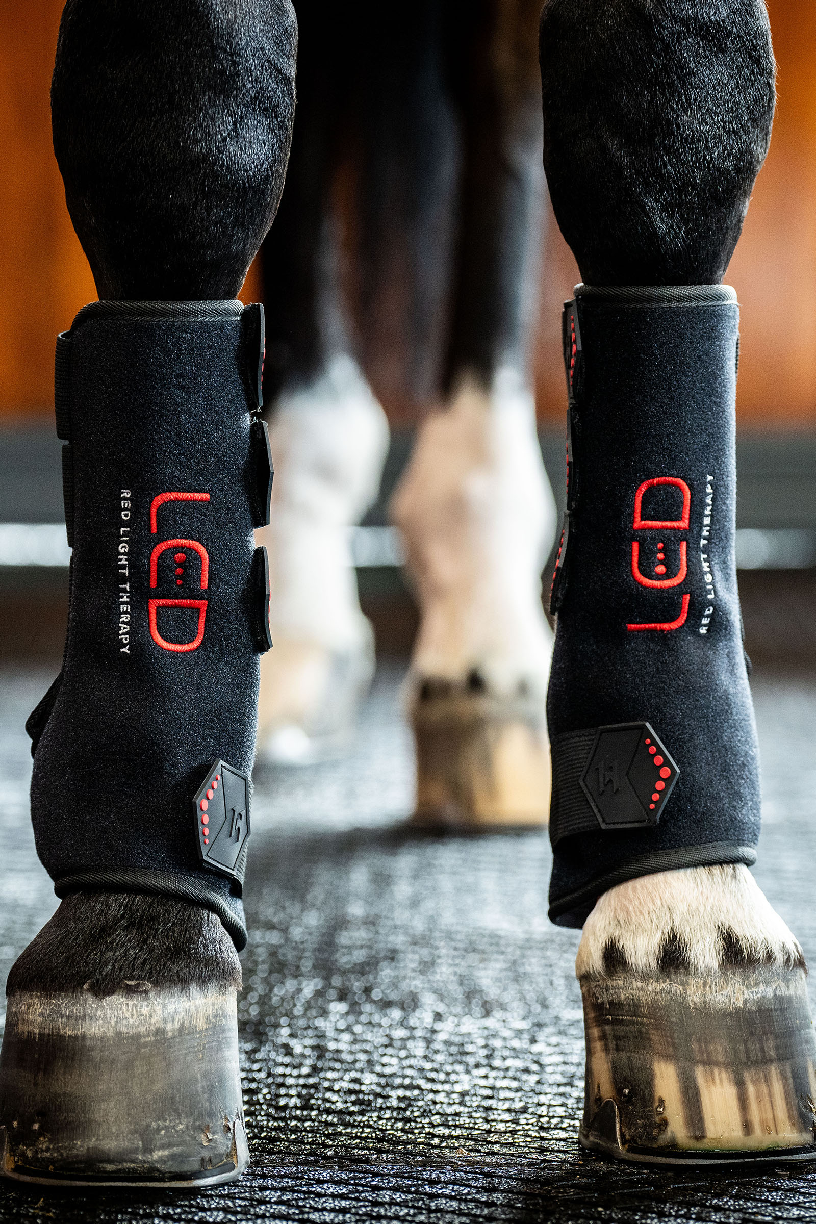 Horseware LED rødt lys terapi belegg (1 stk.)