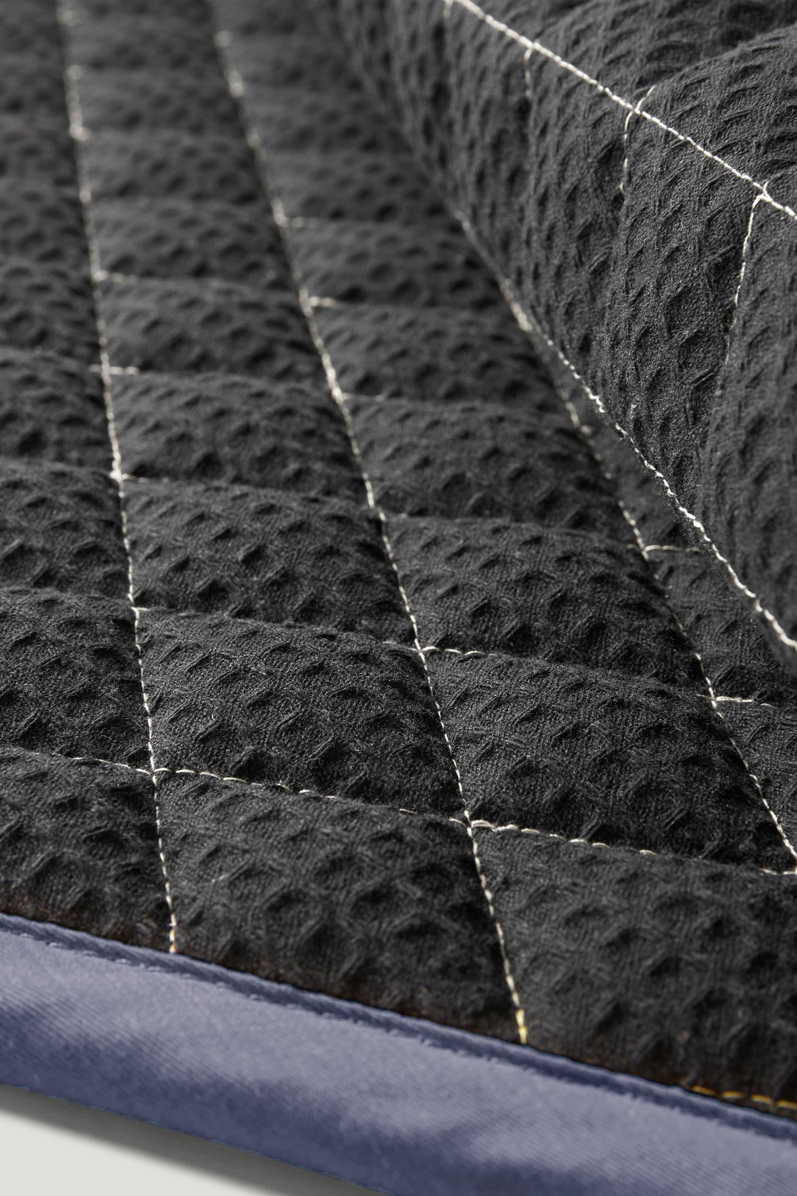 Tommy Hilfiger Equestrian Stanford dressursjabrak