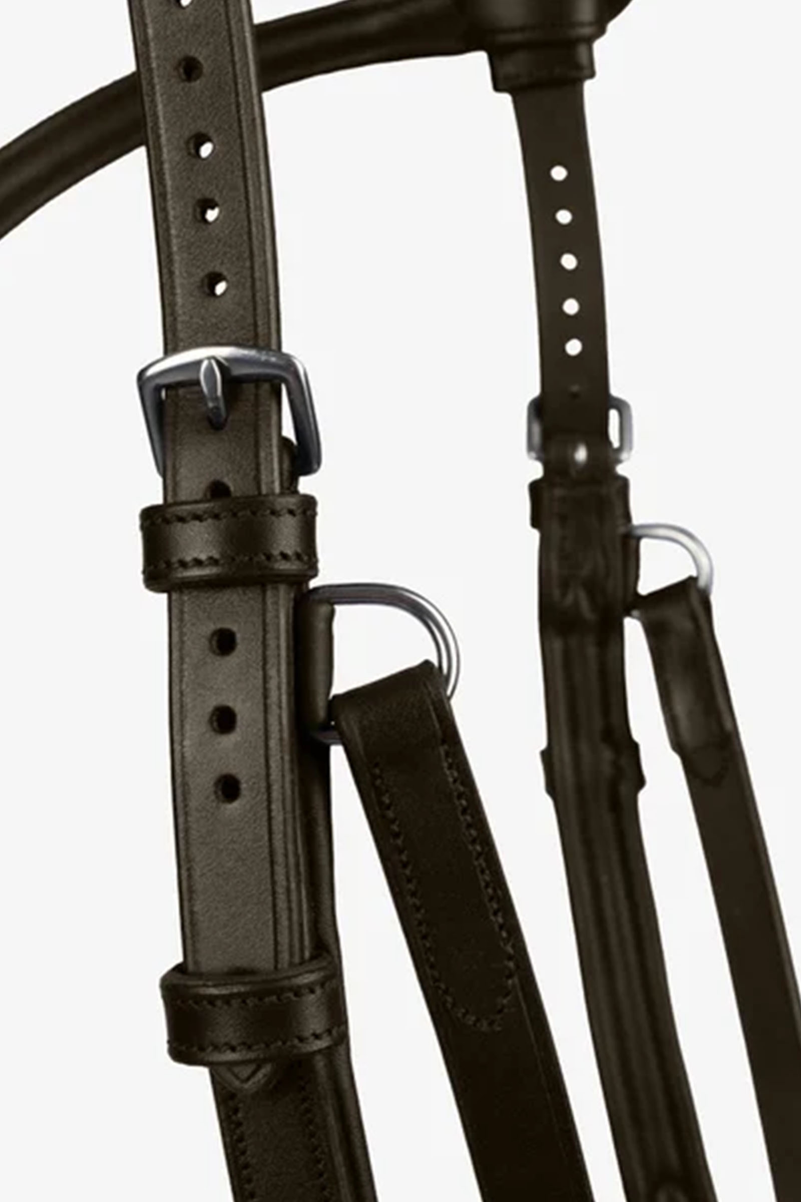 PS of Sweden Hodelag King Edward