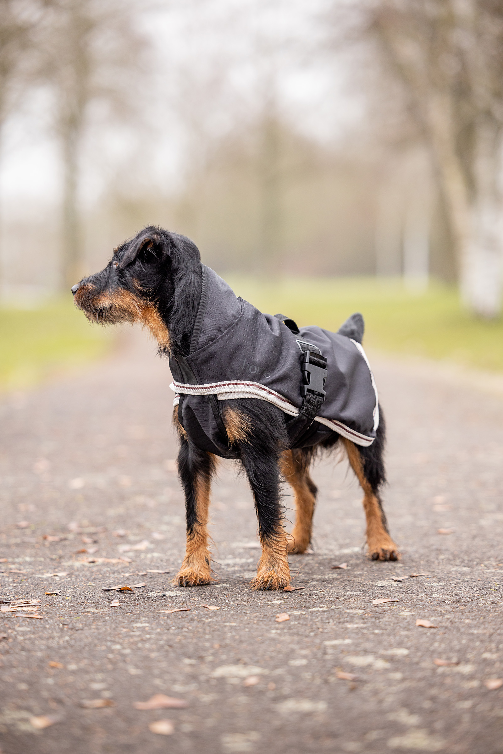 Horze Sudbury 2-i-1 hundedekken, 0 og 100 gram