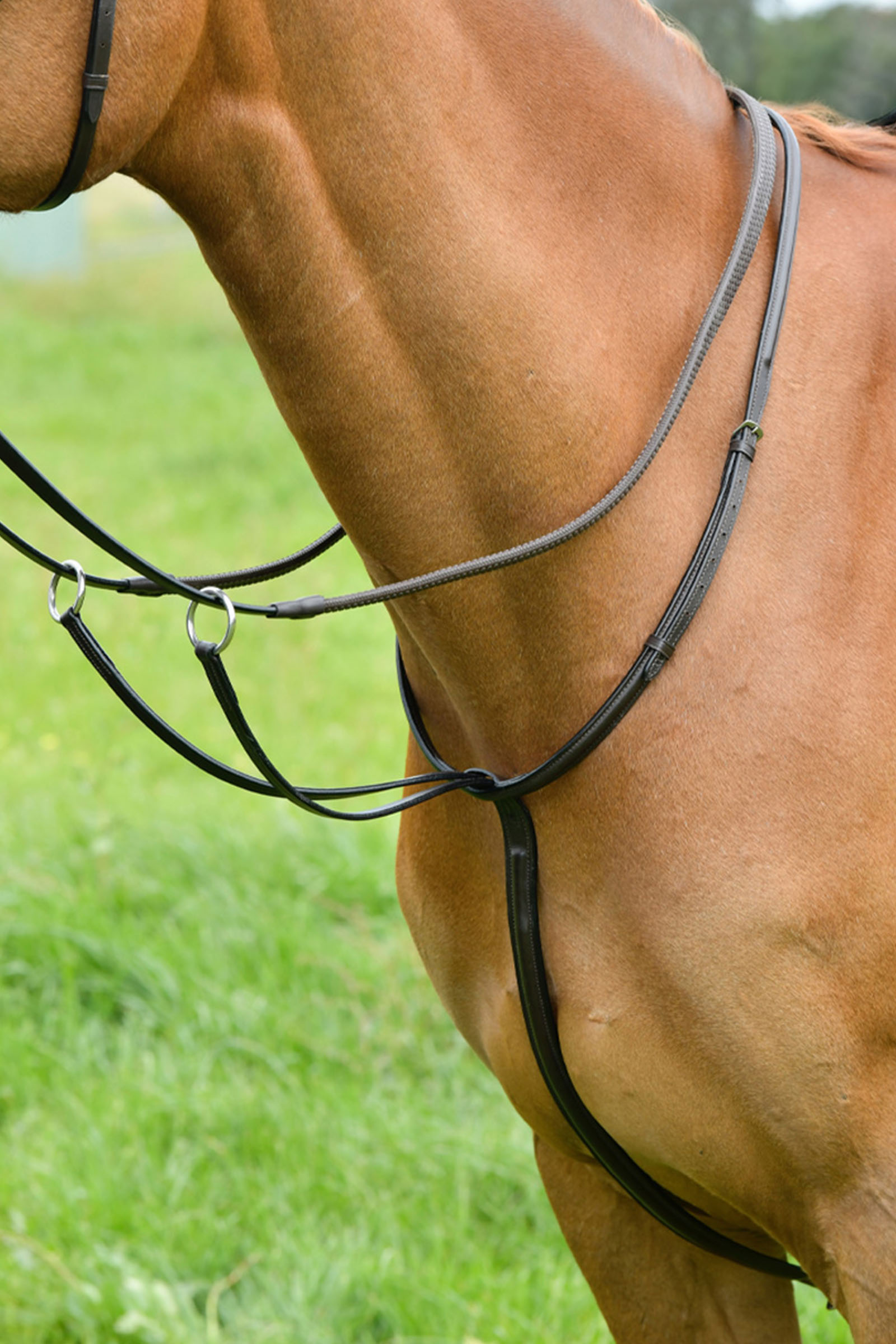 Brown Kincade klassisk l&oslash;pemartingal med forh&oslash;yet s&oslash;m