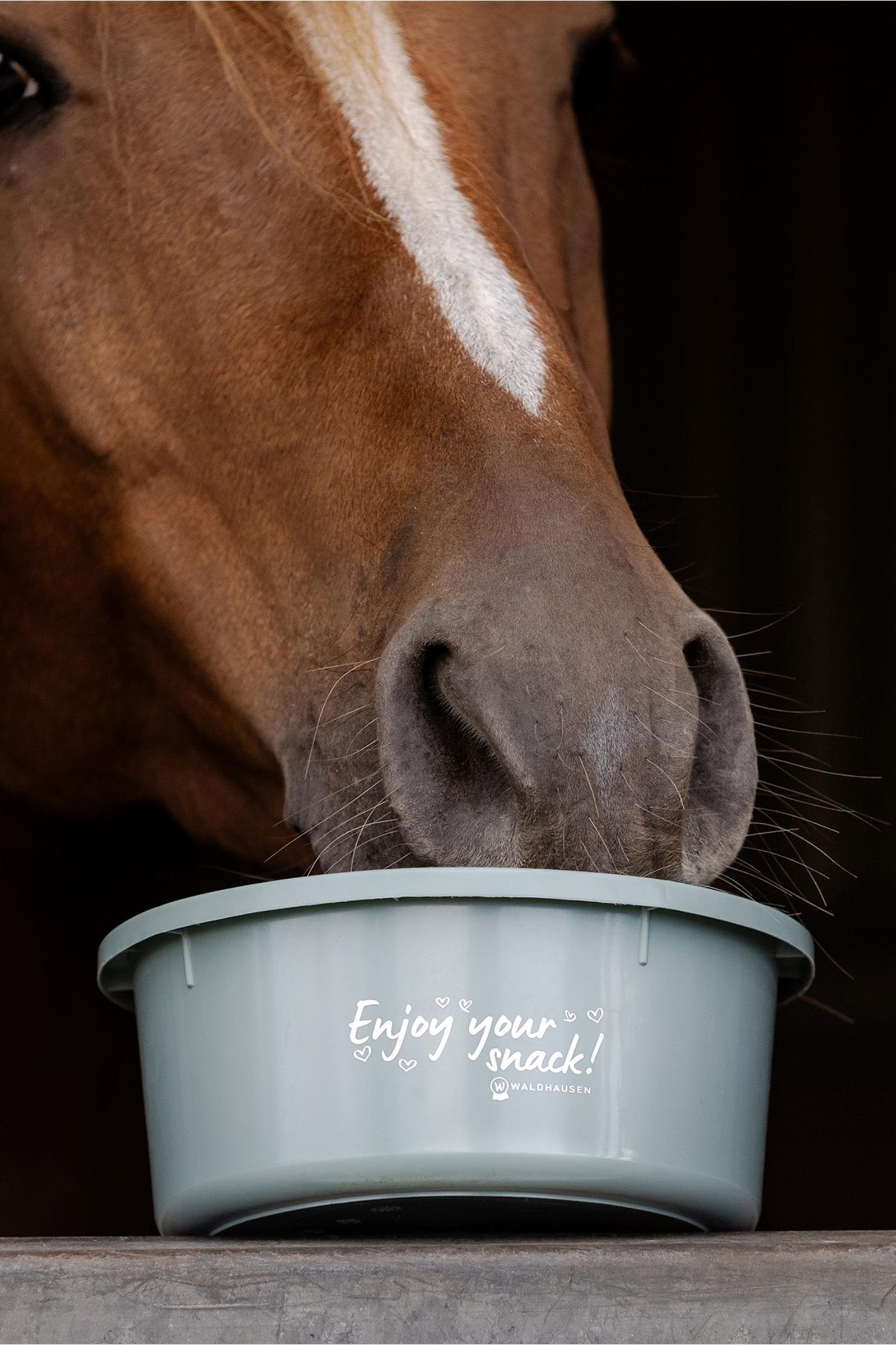 Waldhausen liten f&ocirc;rsk&aring;l med lokk