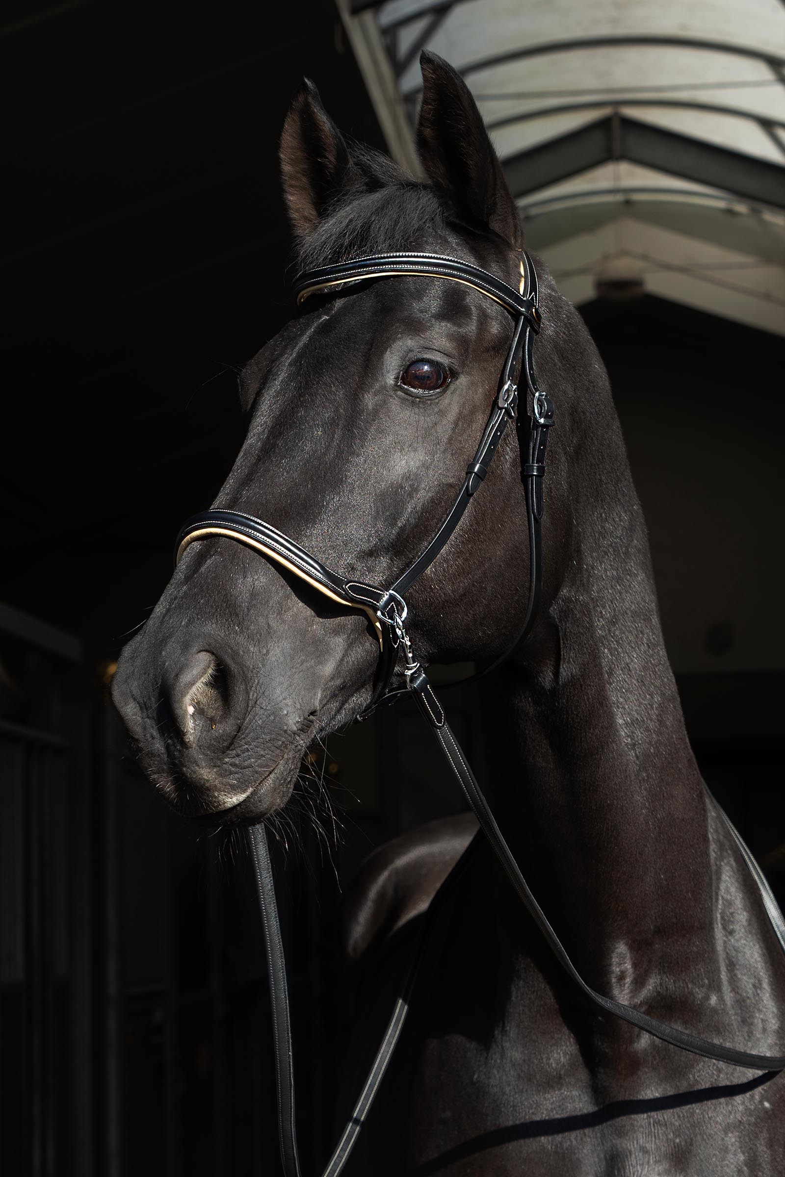 F.R.A. Freedom Riding Articles Sidepull Kiona med t&oslash;yler  