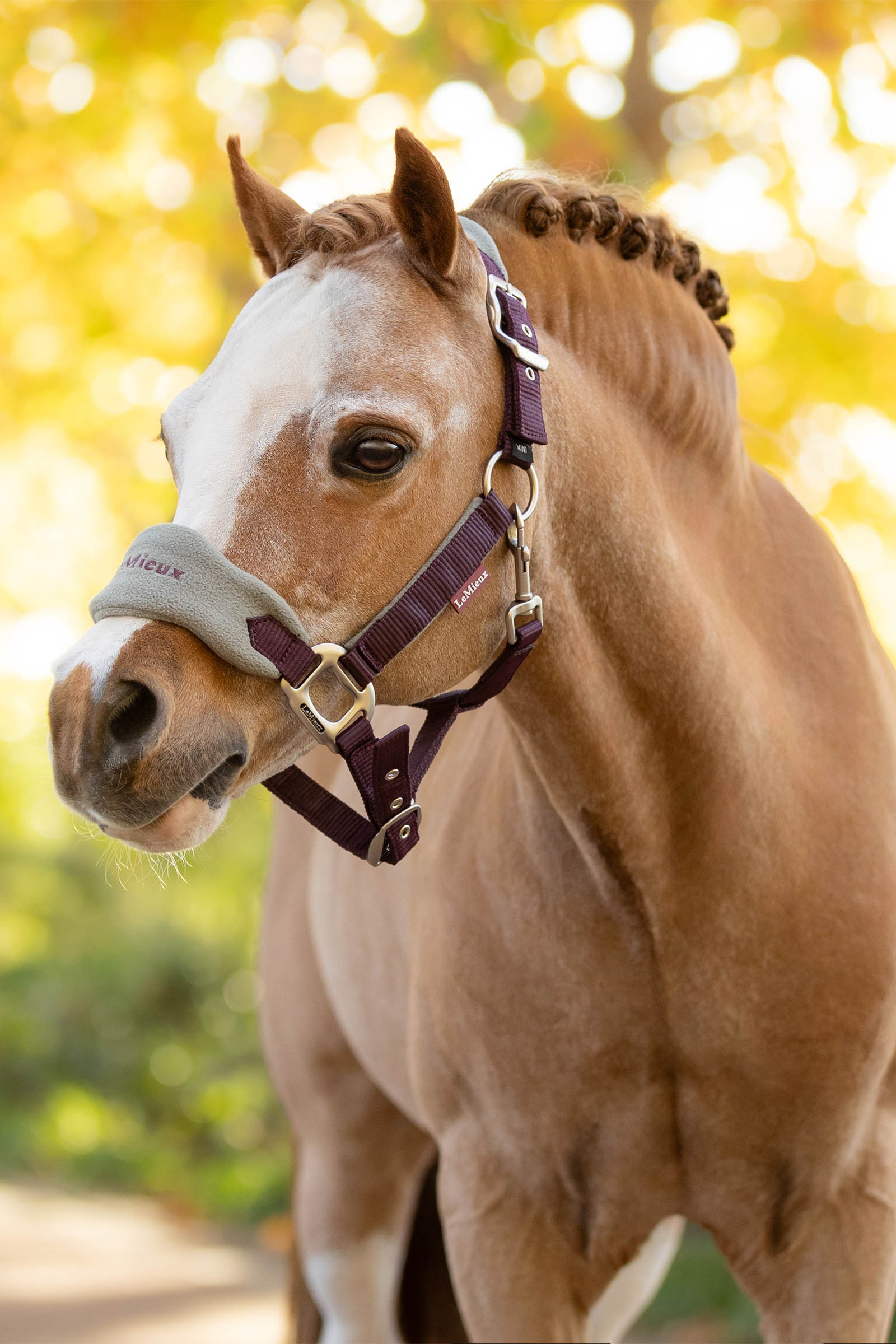 LeMieux Vogue grime & leietau set