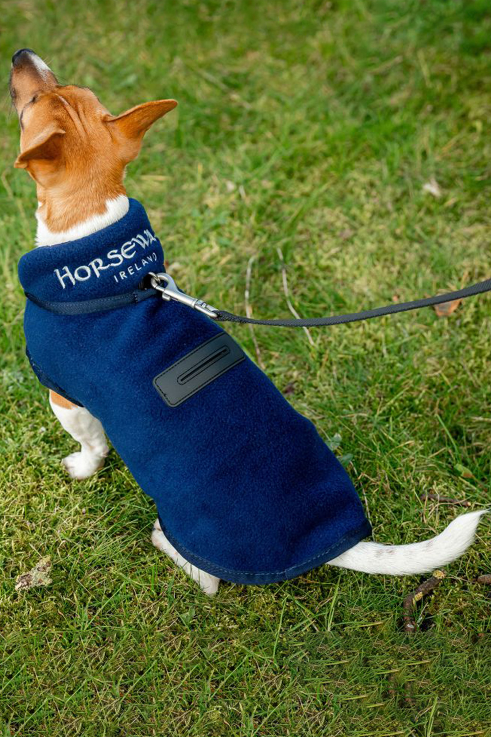 Horseware Signature Hundefleece-teppe