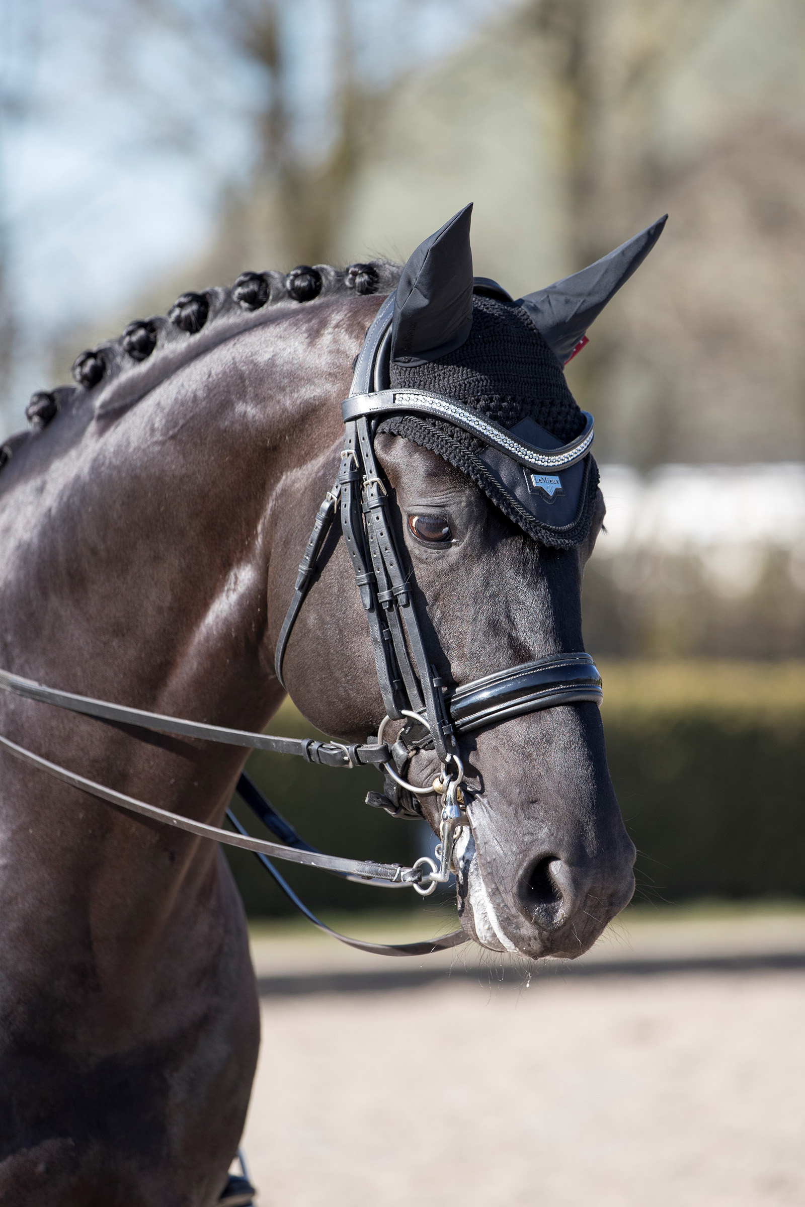 LeMieux Loire ørehette