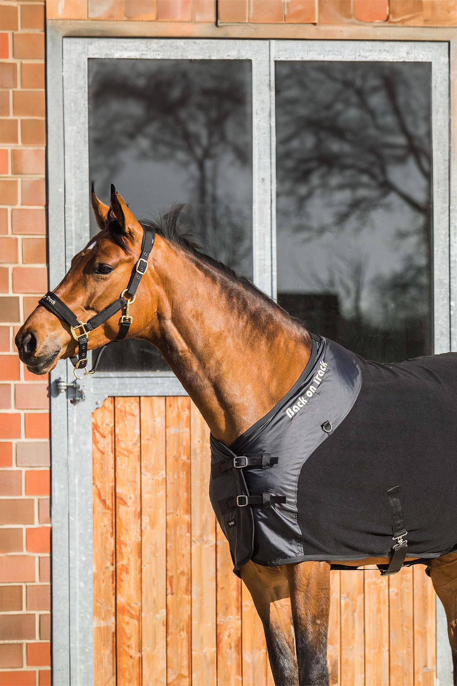 Back on Track Supreme fleecedekken