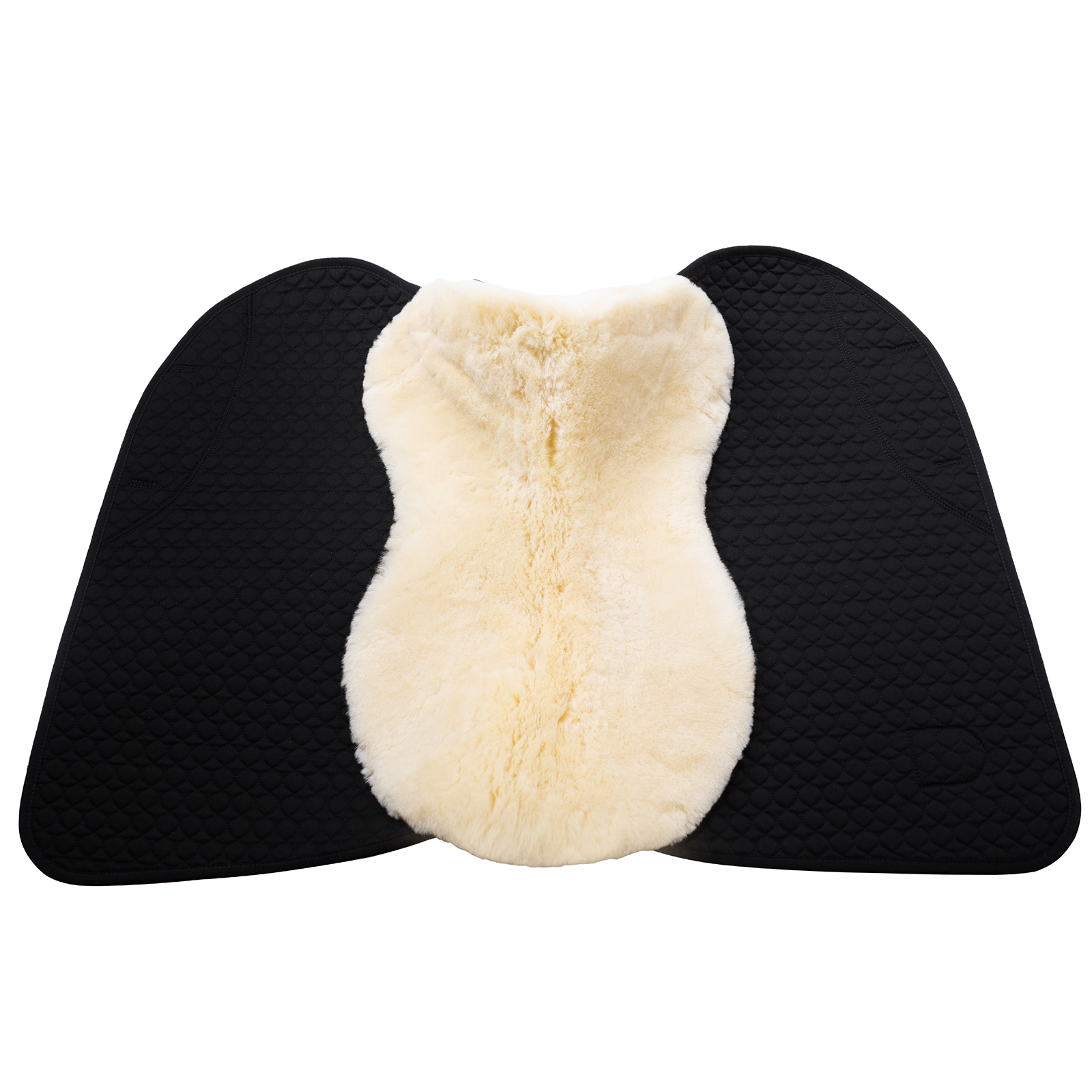 Christ Shabrack Champ S