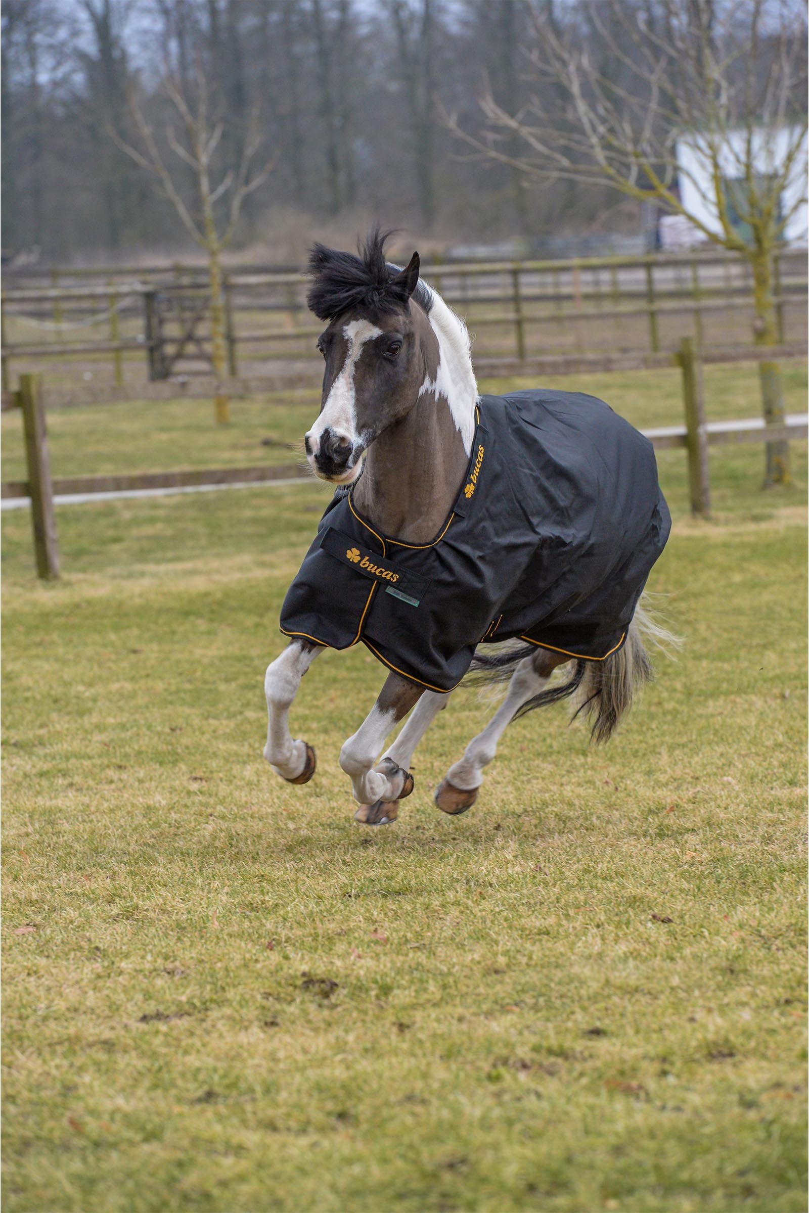 Bucas Irish utedekken, 100 g