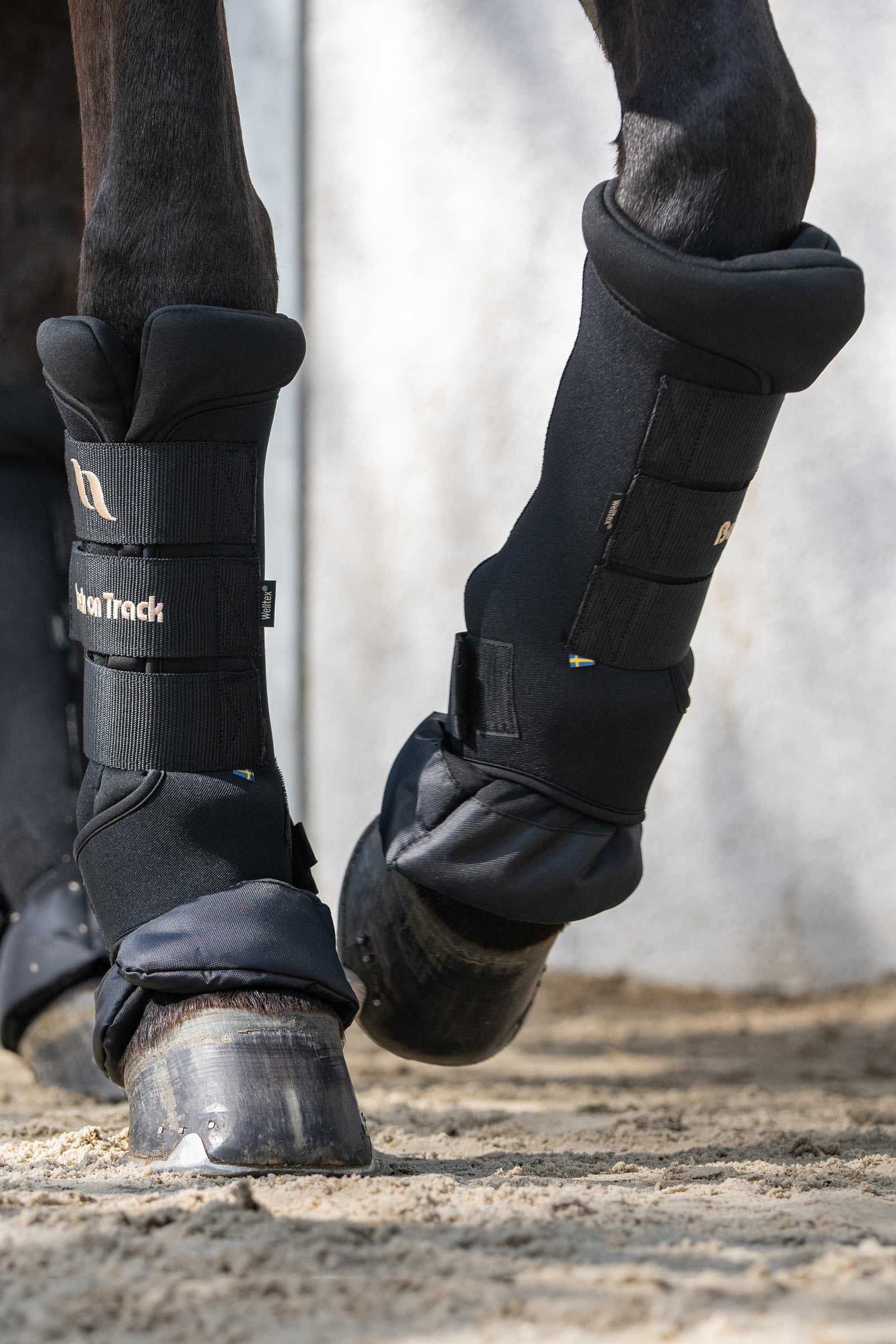 Back On Track Quick Royal stallbandasjer