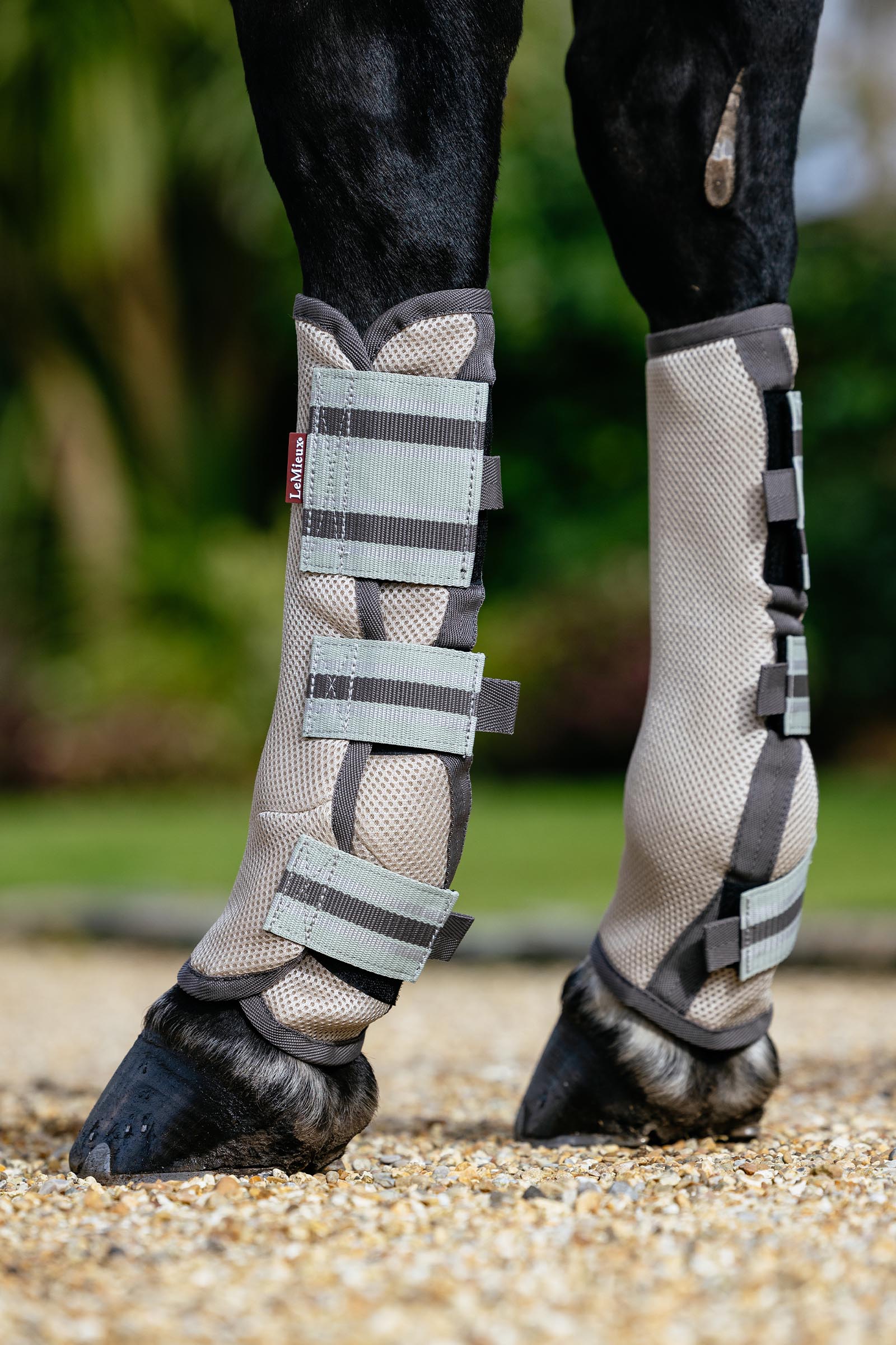 LeMieux Arika mesh fluegamacher sett 4 stk