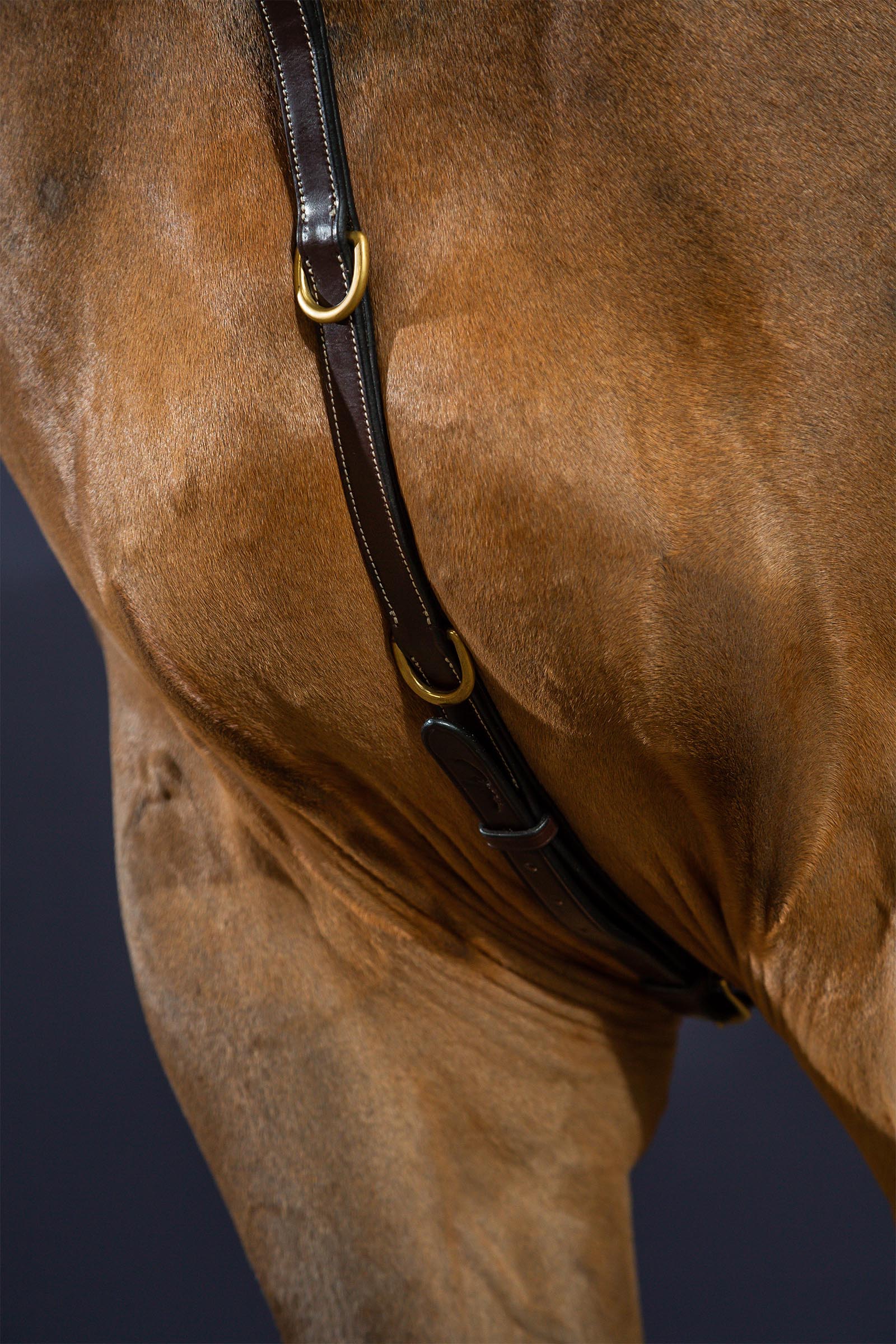 Dy'on D Collection brystplate med bro