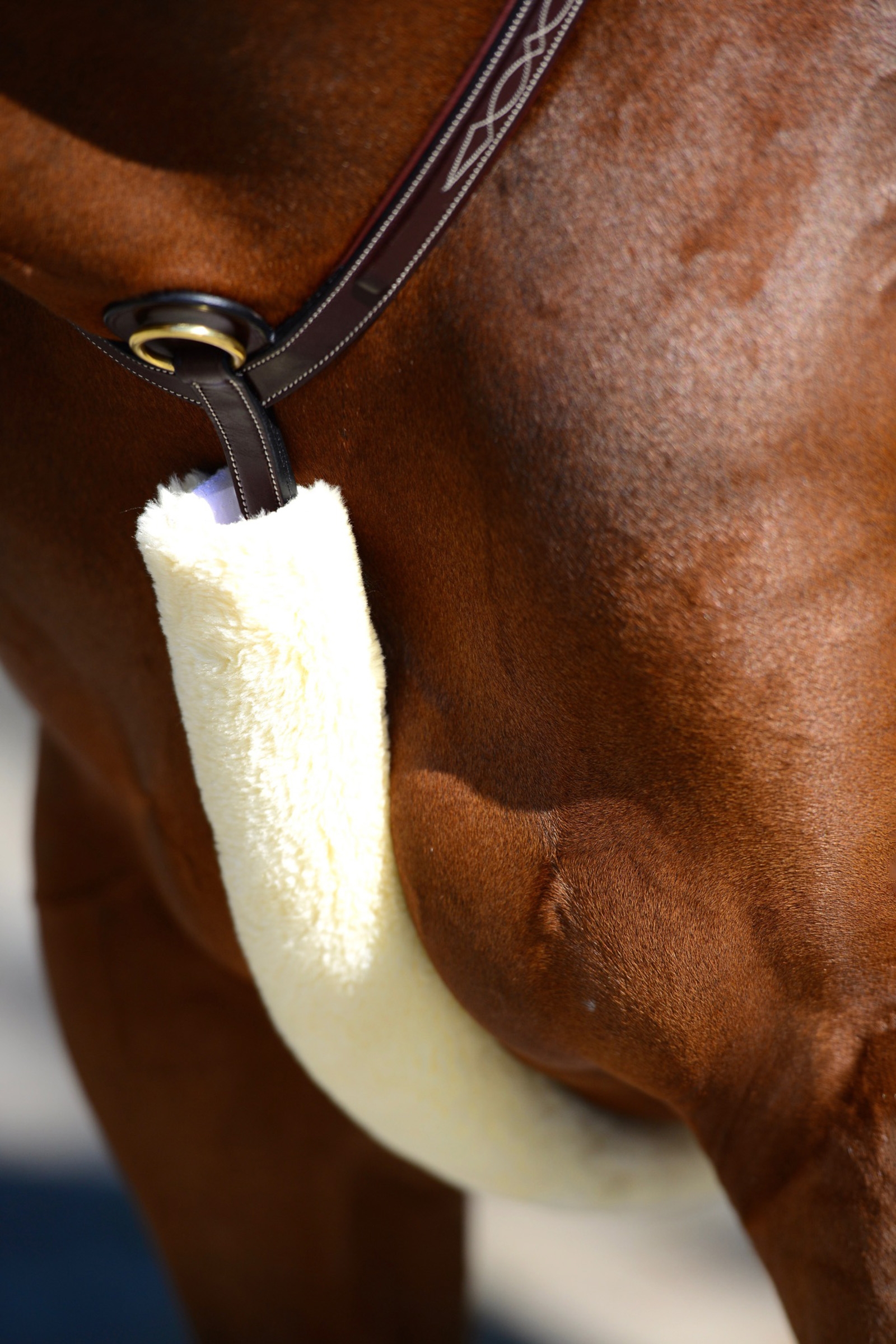 Natural Kentucky Horsewear saueskinnsbeskyttelse til fortøy