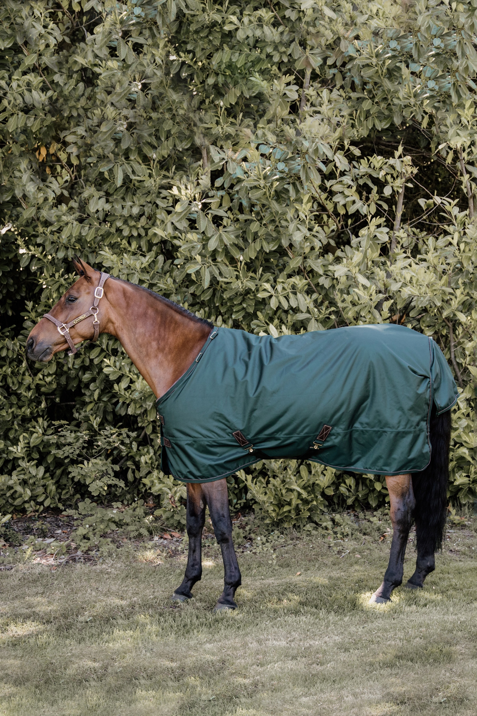 Dark Green Kentucky Horsewear All Weather utedekken, 160 gram