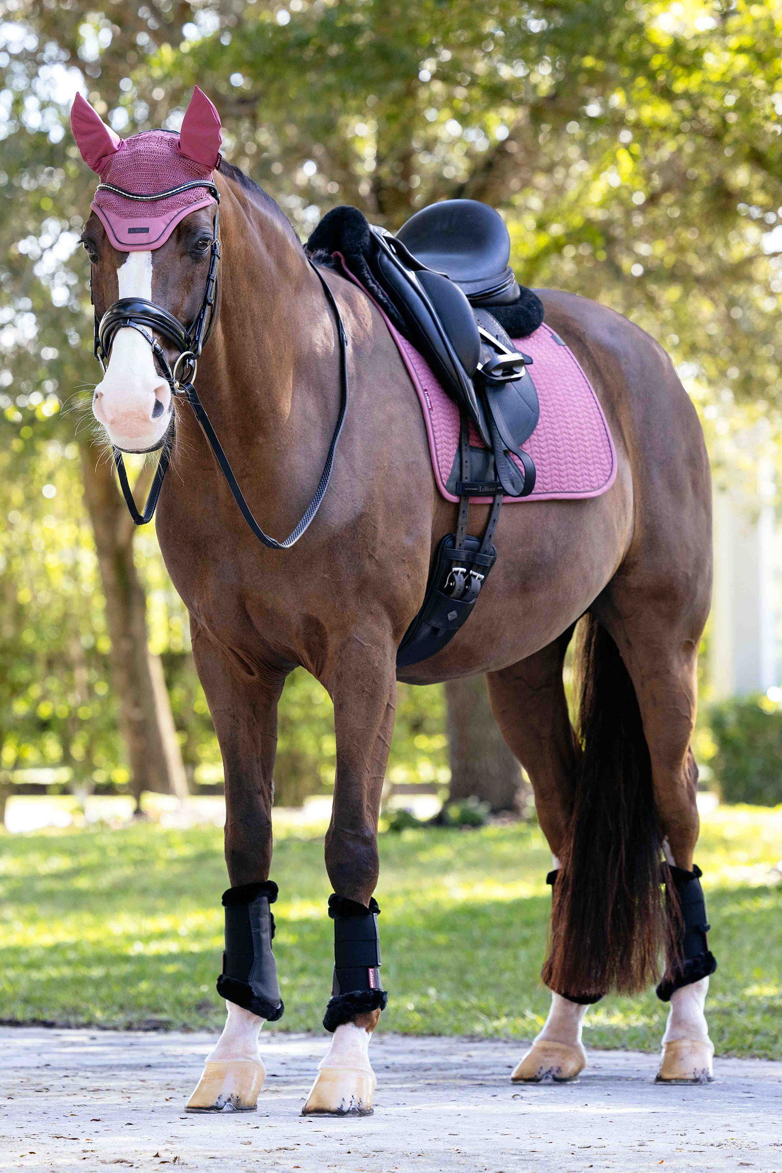 LeMieux Essence dressur salunderlag