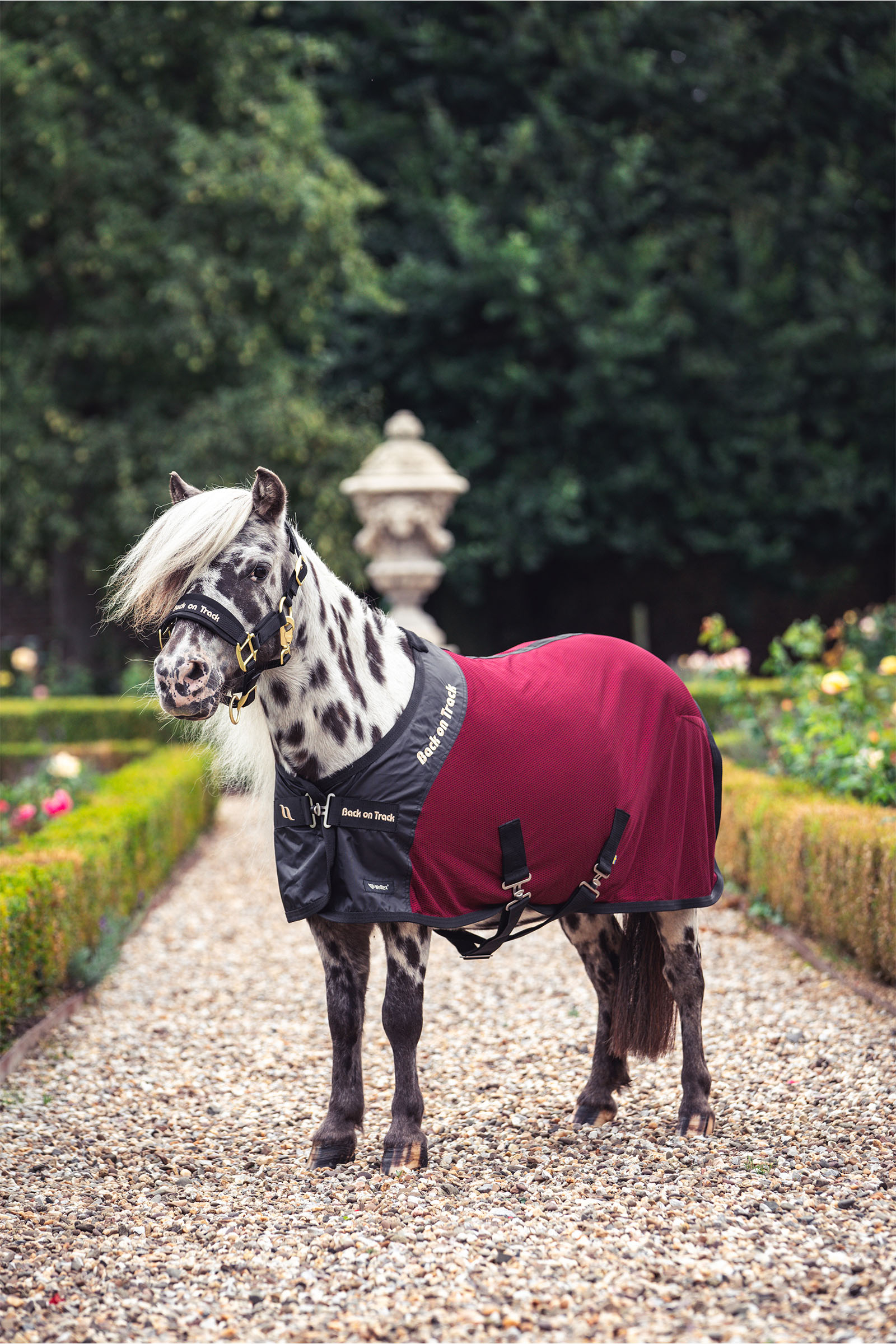 Back on Track Royal Ponni Mesh Teppe Deluxe