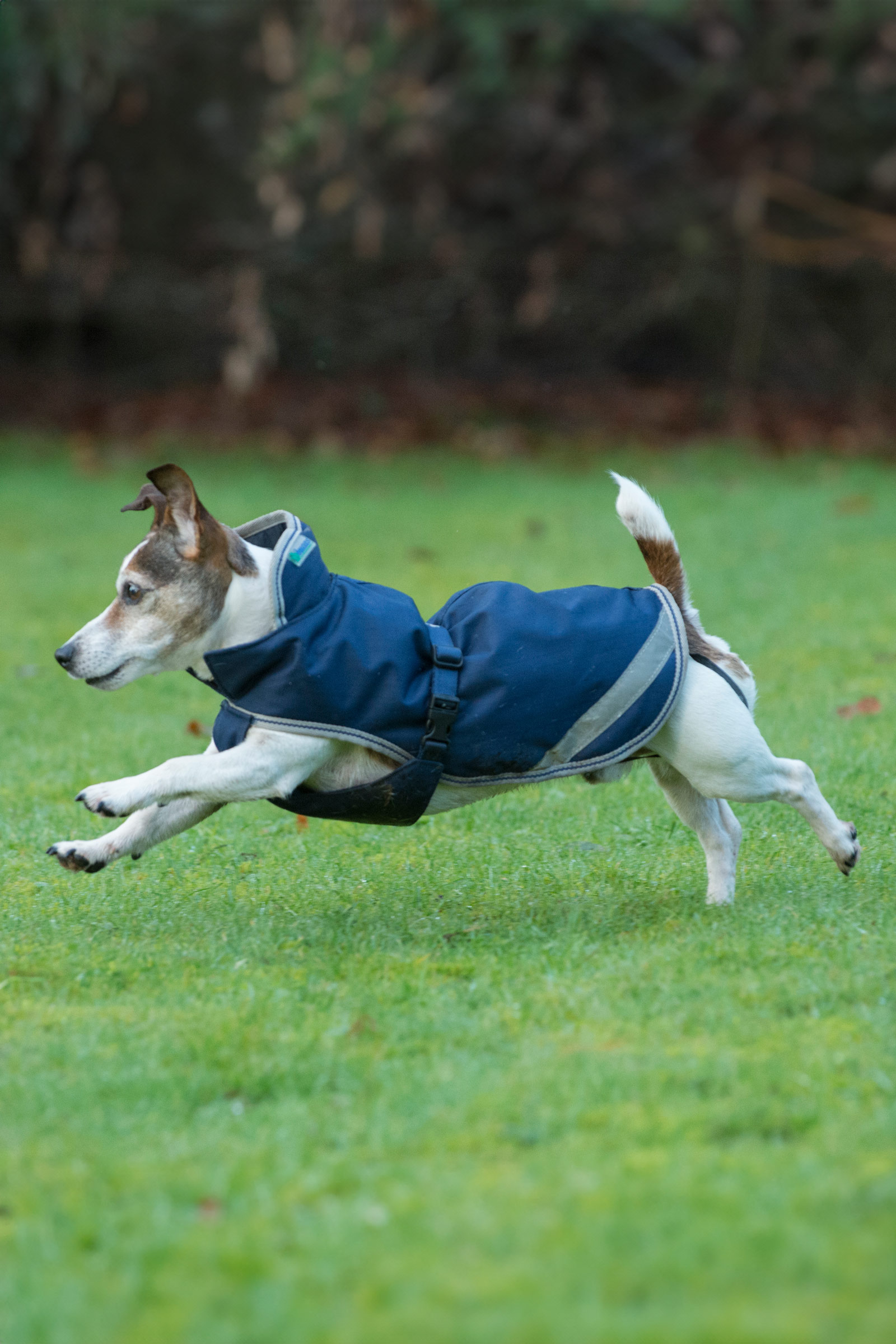 Bucas Freedom Hundedekken, 300g (30-45 cm)