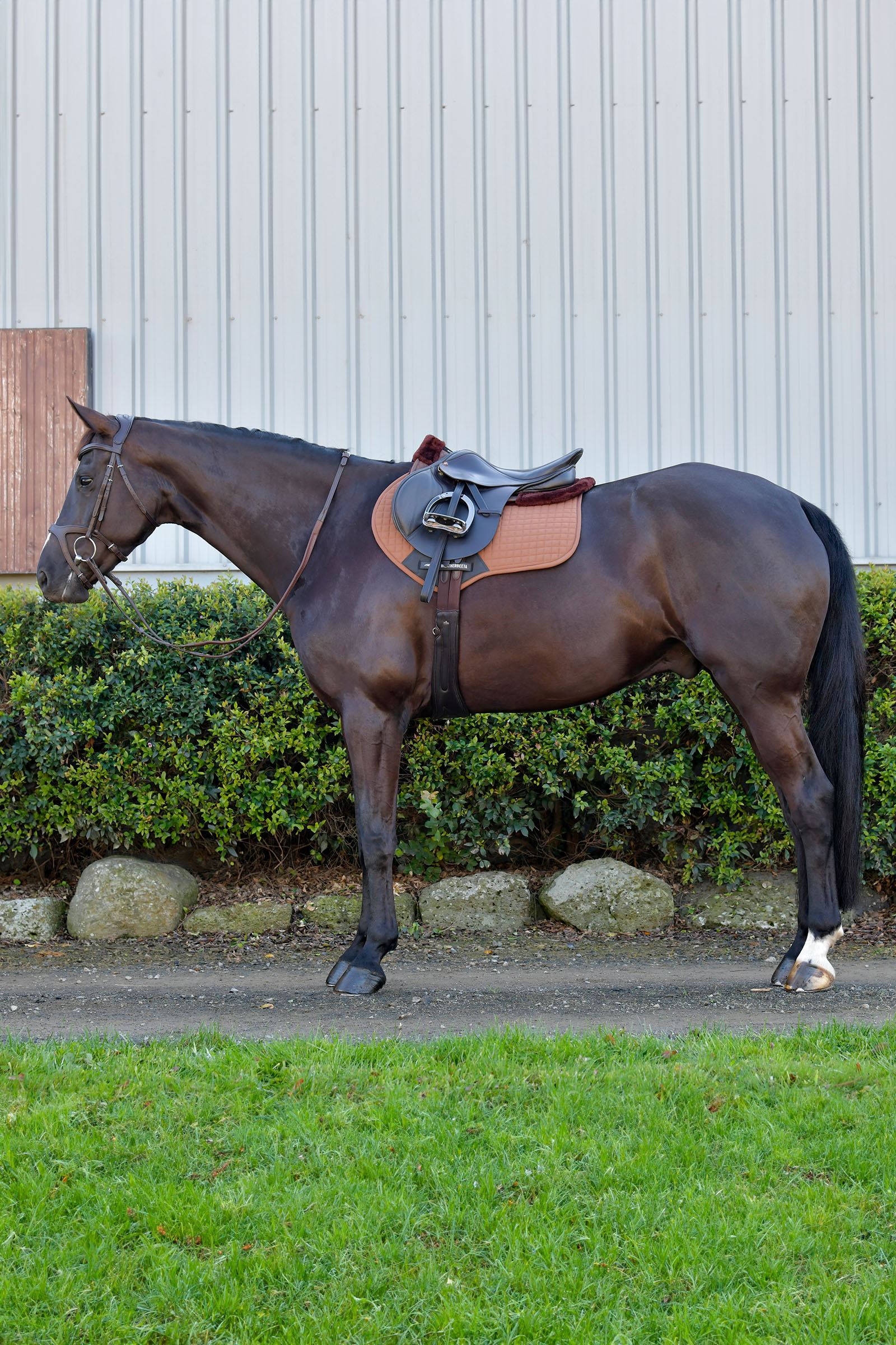 Weatherbeeta Prime Comfy Fleece sprangsjabrak