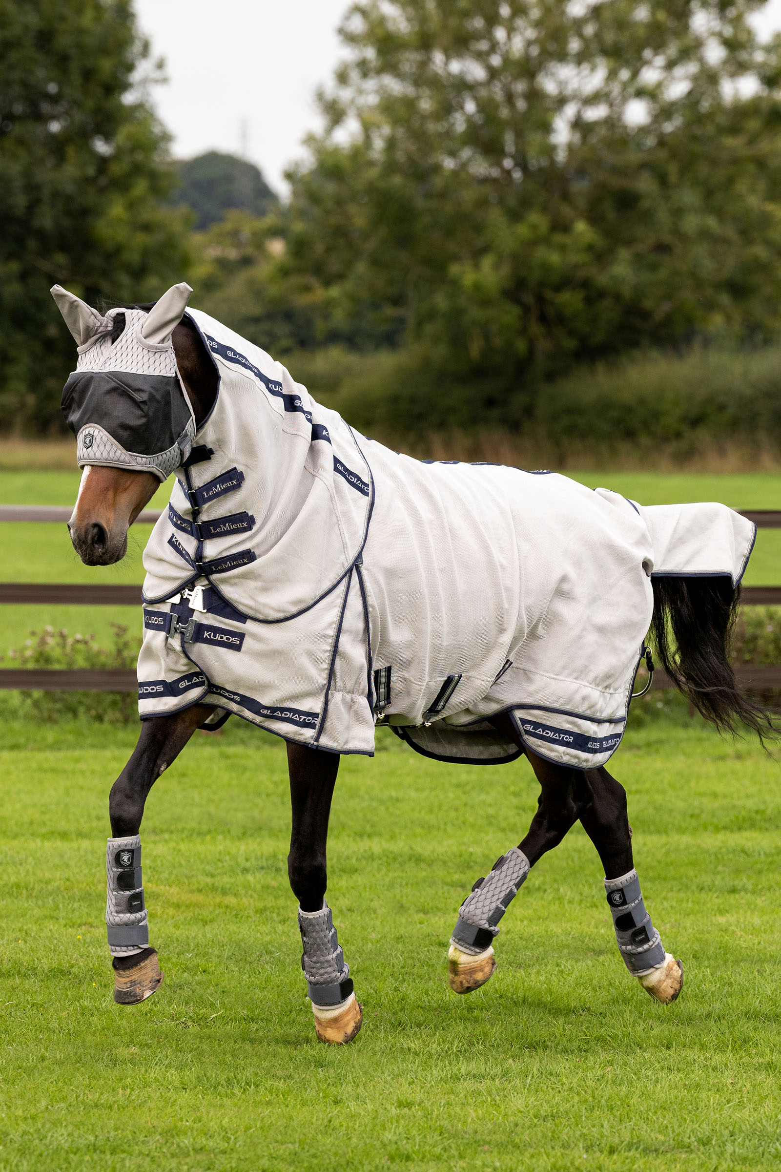 LeMieux Kudos Gladiator fluedekken