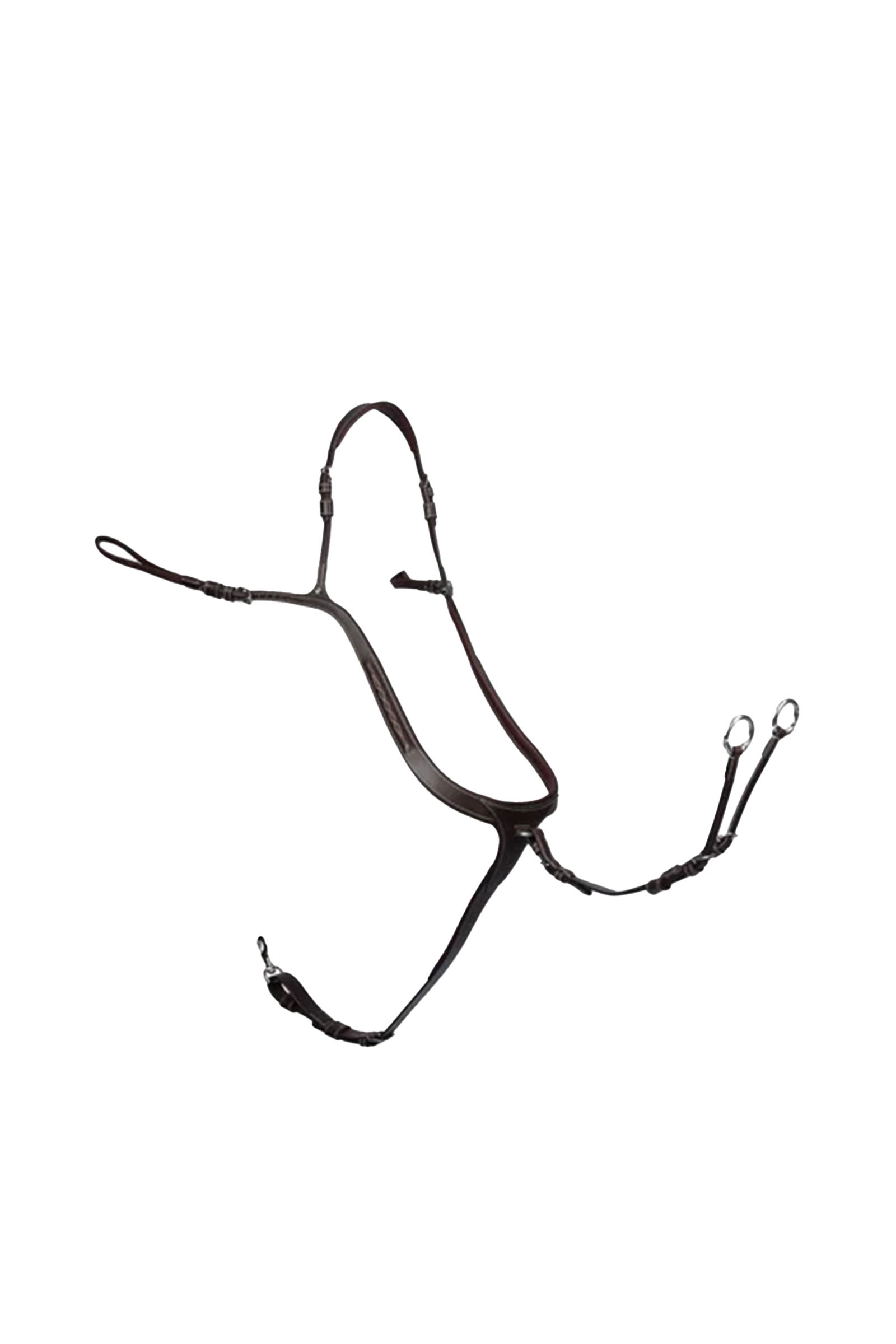 PS of Sweden fortøy Tokyo