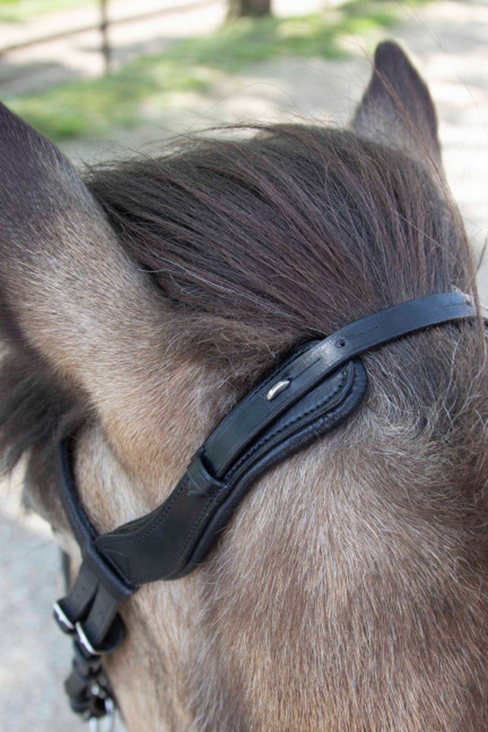 Waldhausen Anatomisk Islandsk Hodelag