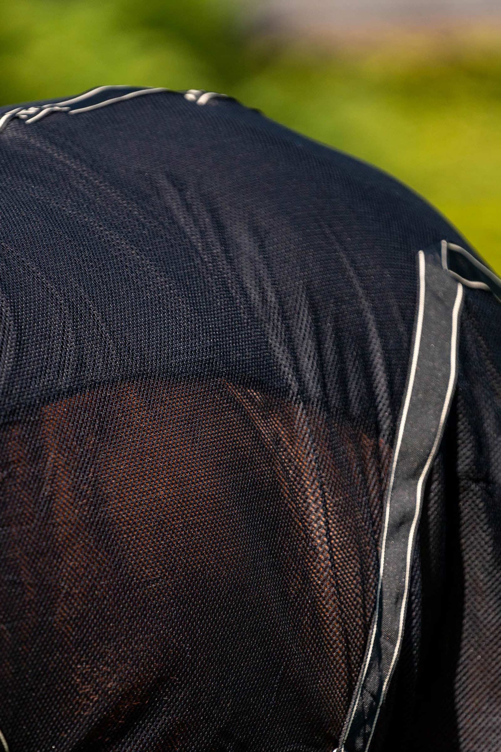 Back on Track Sienna cooler