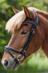 Waldhausen Rose Icelandic Bridle