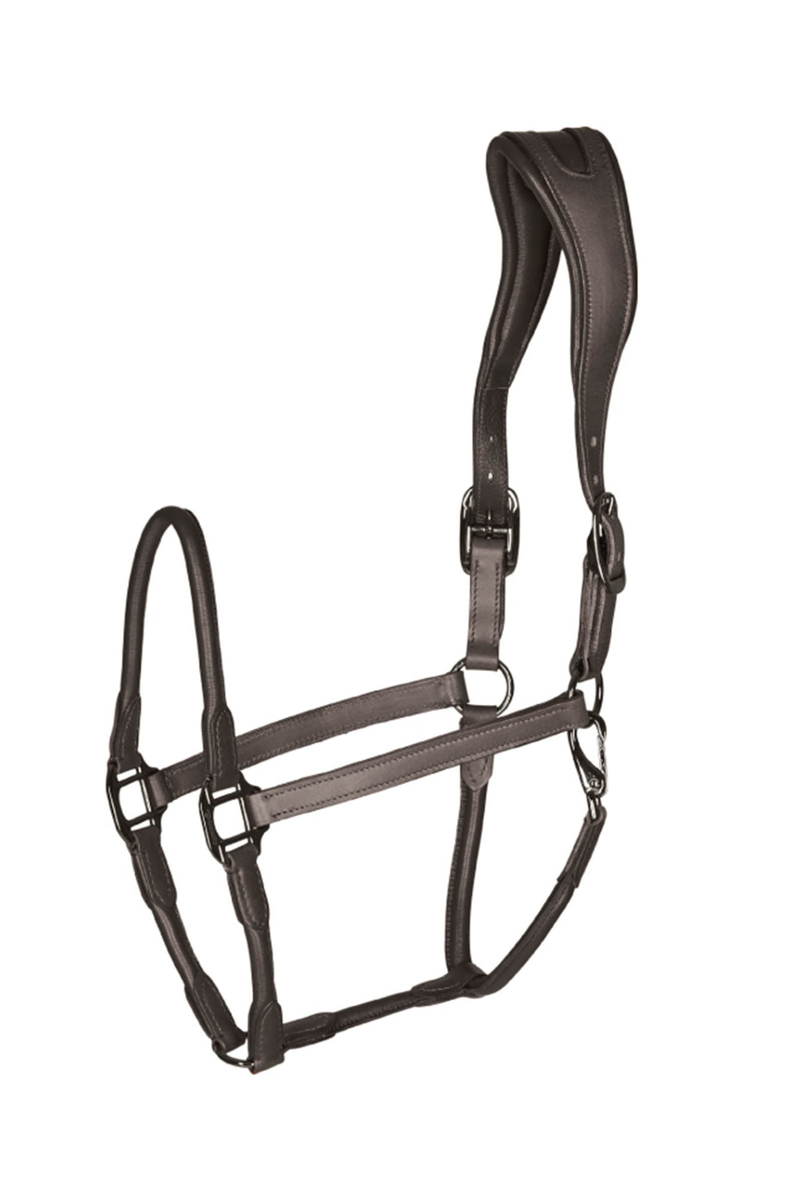 Brown Catago leather halter with round-stitched noseband