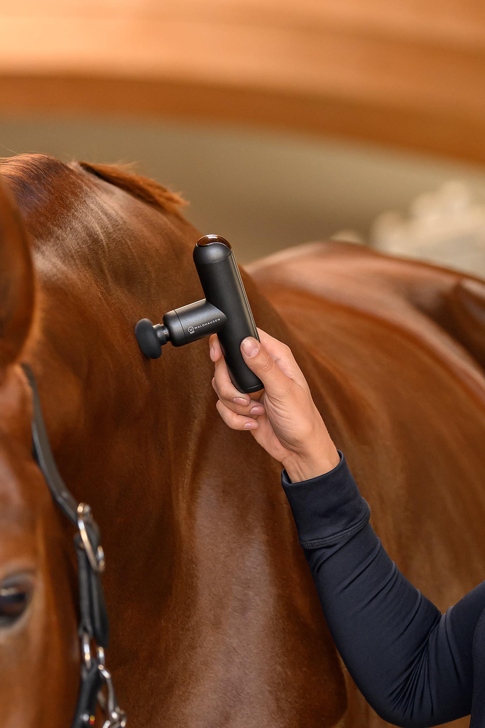 Waldhausen Health + Care massasjeapparat Pocket Relax