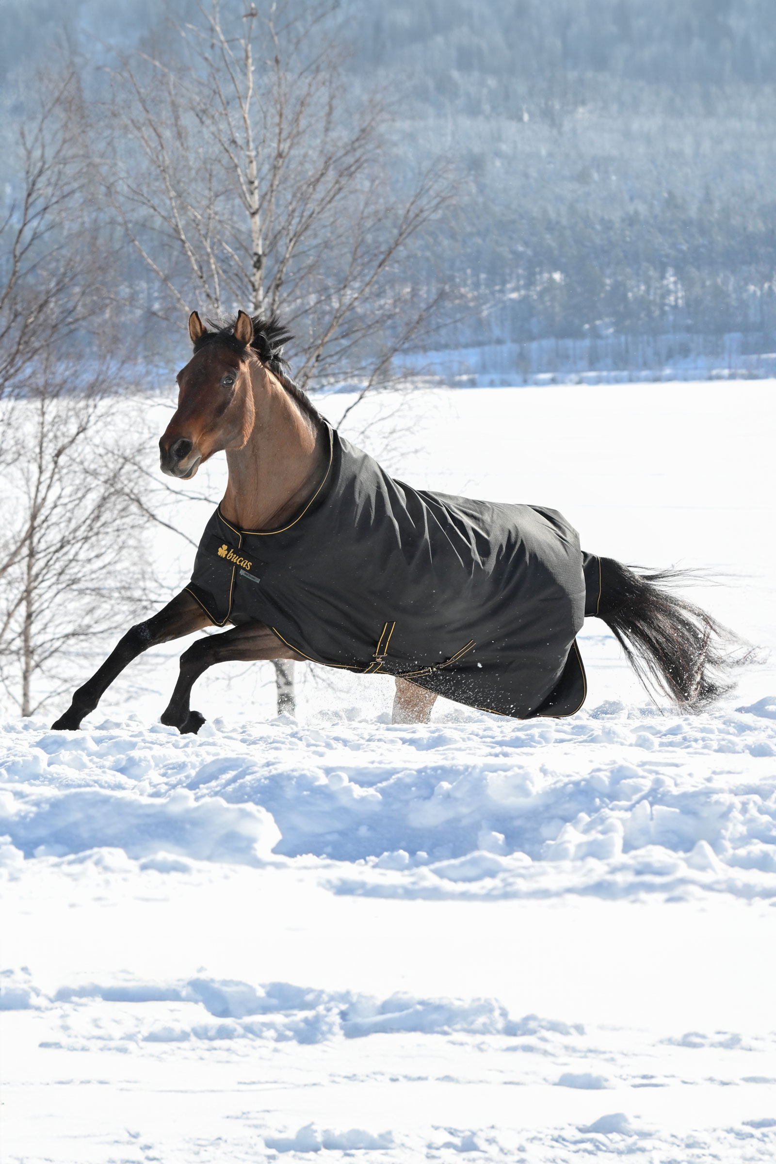 Bucas Irish utedekken, 300g