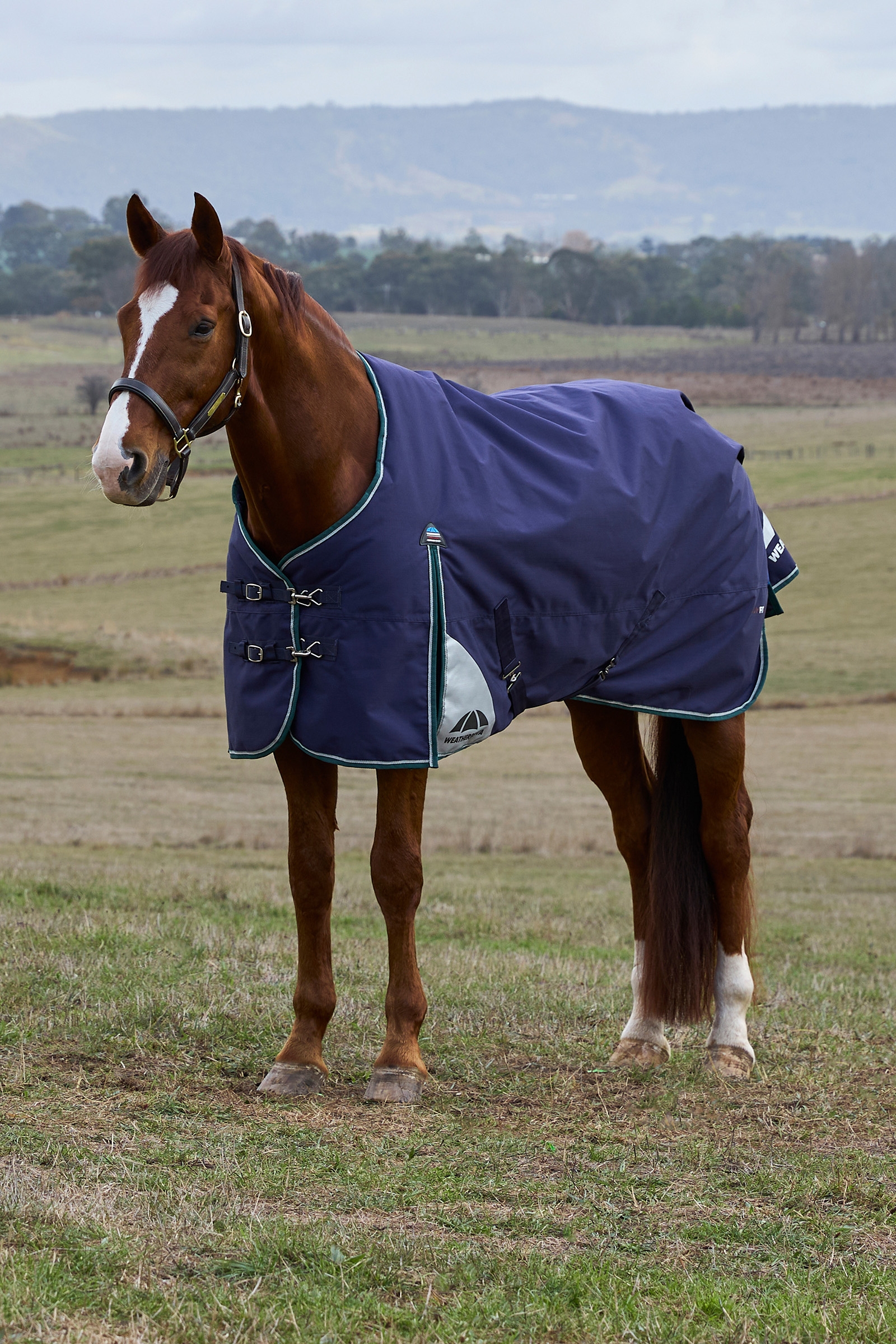 Navy/Forest Green Weatherbeeta ComFiTecPlus Dynamic Utend&oslash;rsdekken med avtakbar hals, 100 g  