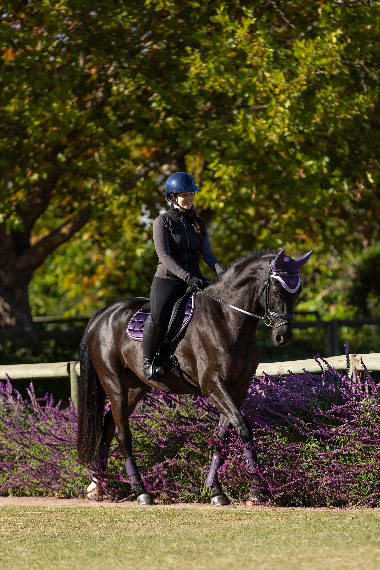 LeMieux Merino+ Loire klassisk Close Contact salunderlag