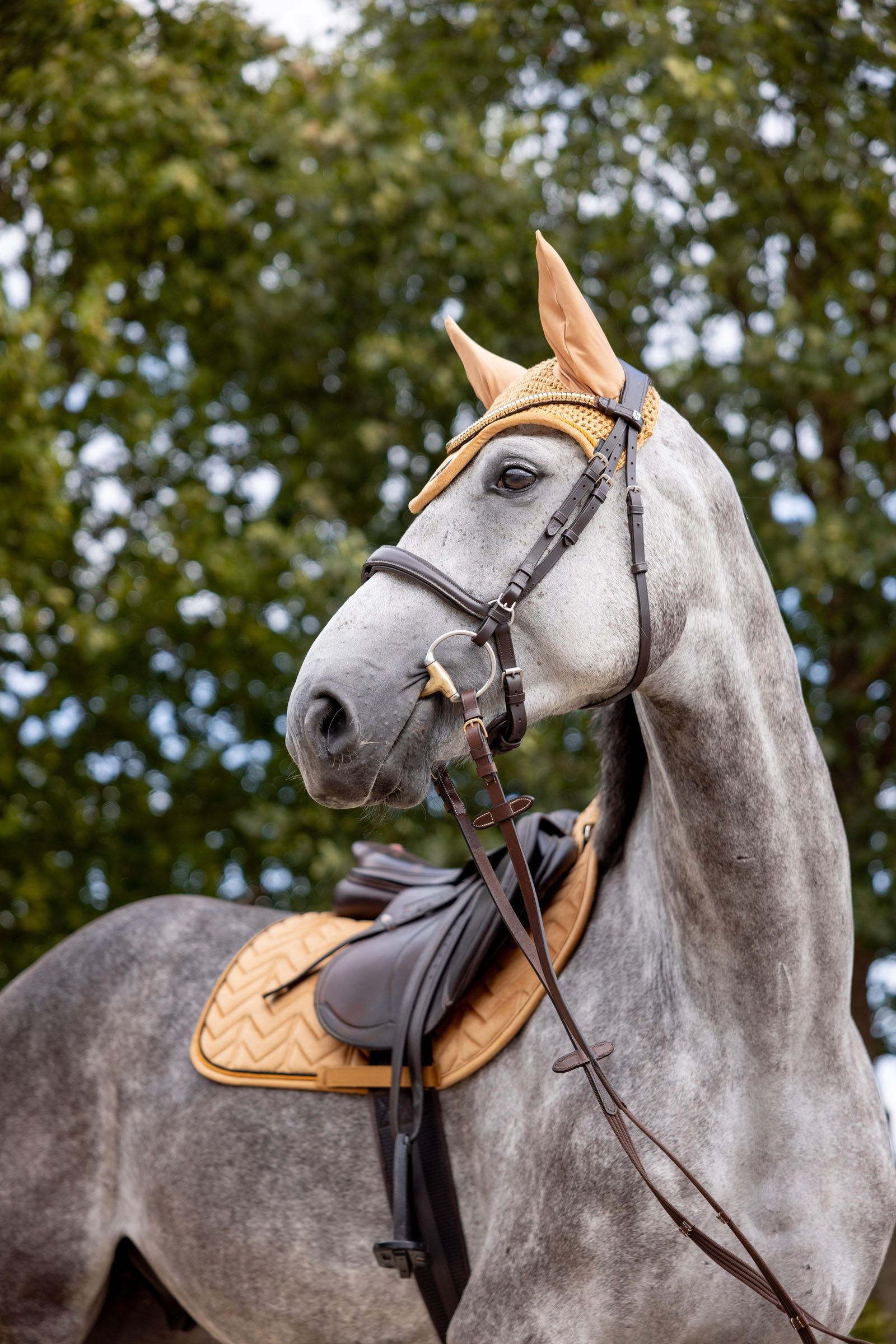 Horze Del&eacute;mont &oslash;rehette