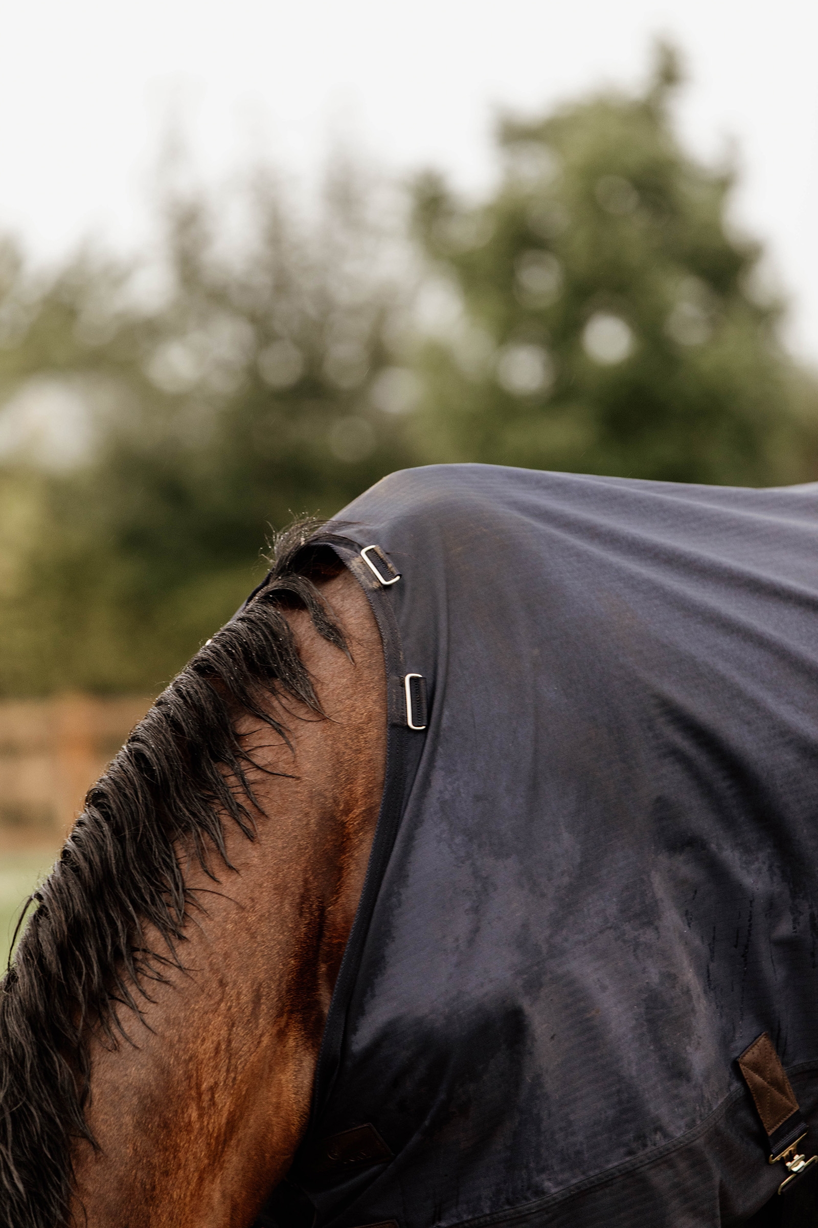 Kentucky Horsewear All Weather utedekken, 300 gram