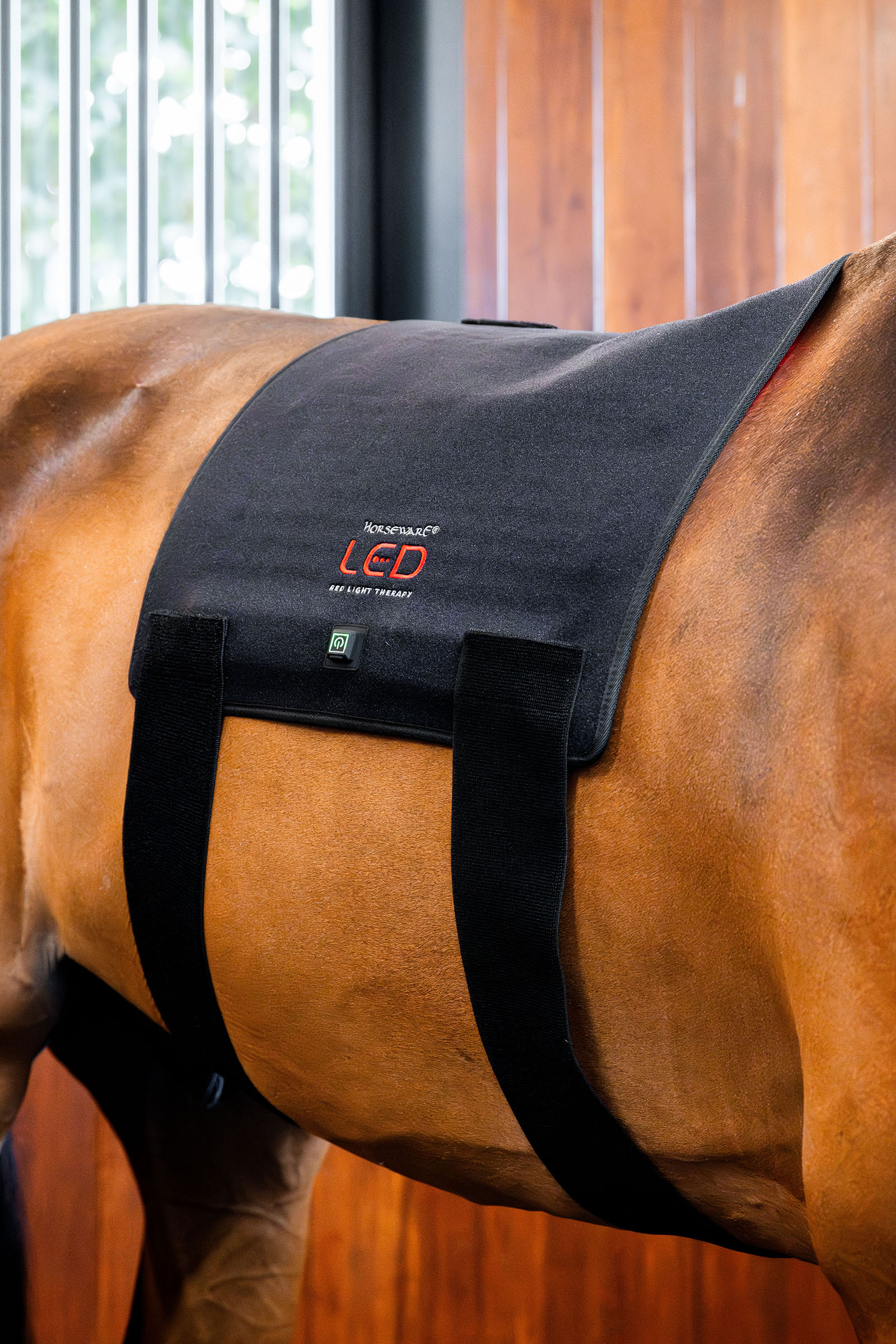 Horseware LED rødt lys terapi Pad