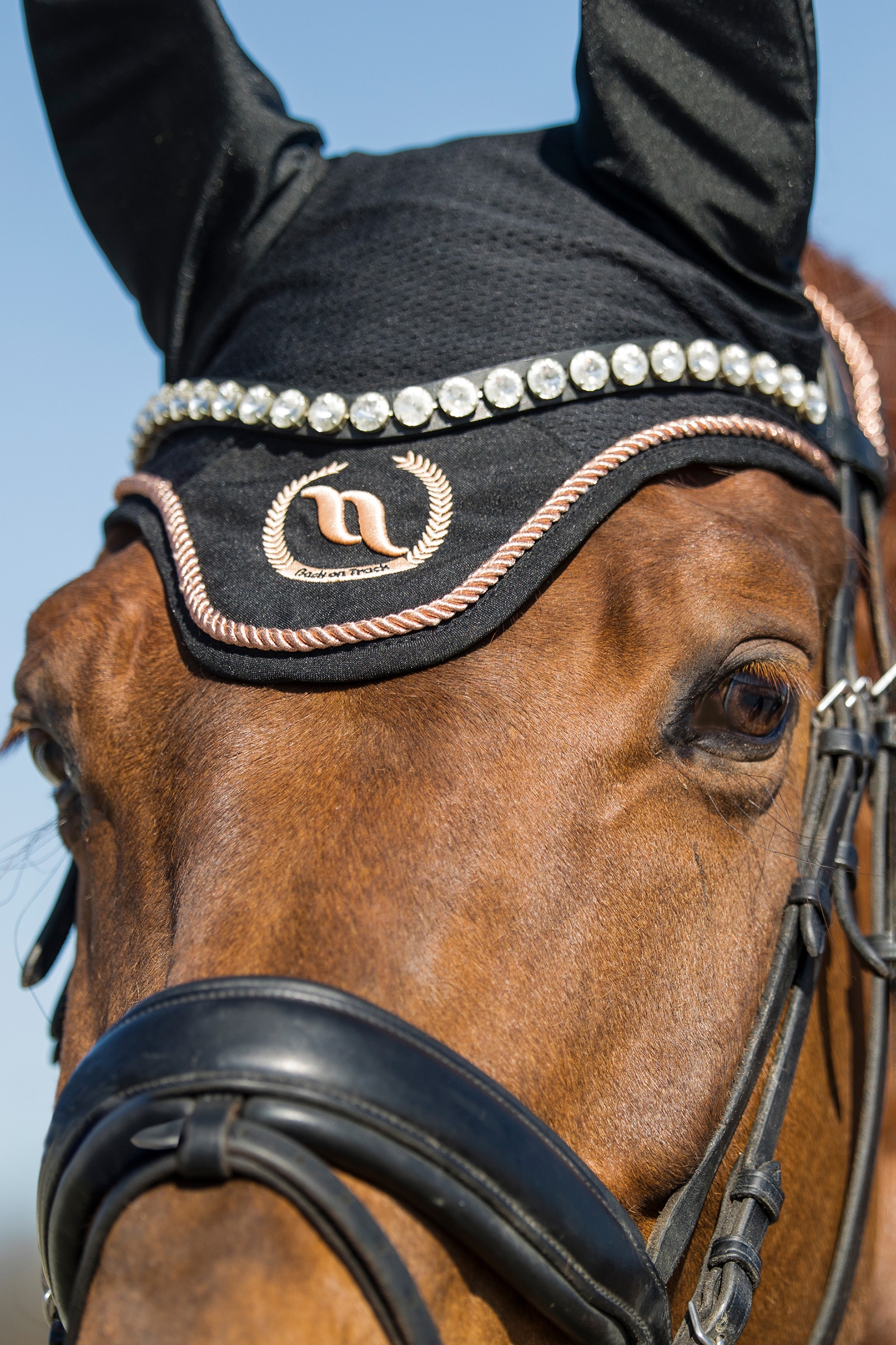 Back on Track Haze kolleksjonen, ørehette