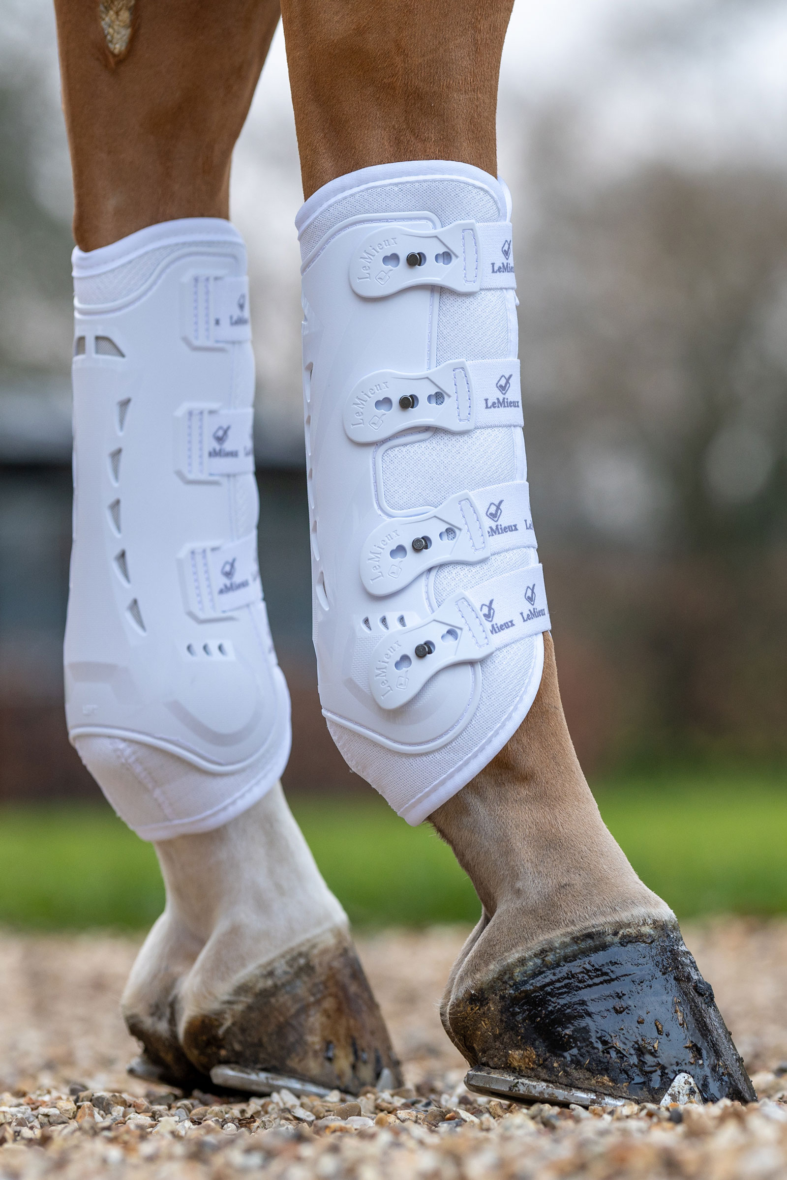 LeMieux Ultra Mesh Snug belegg bak