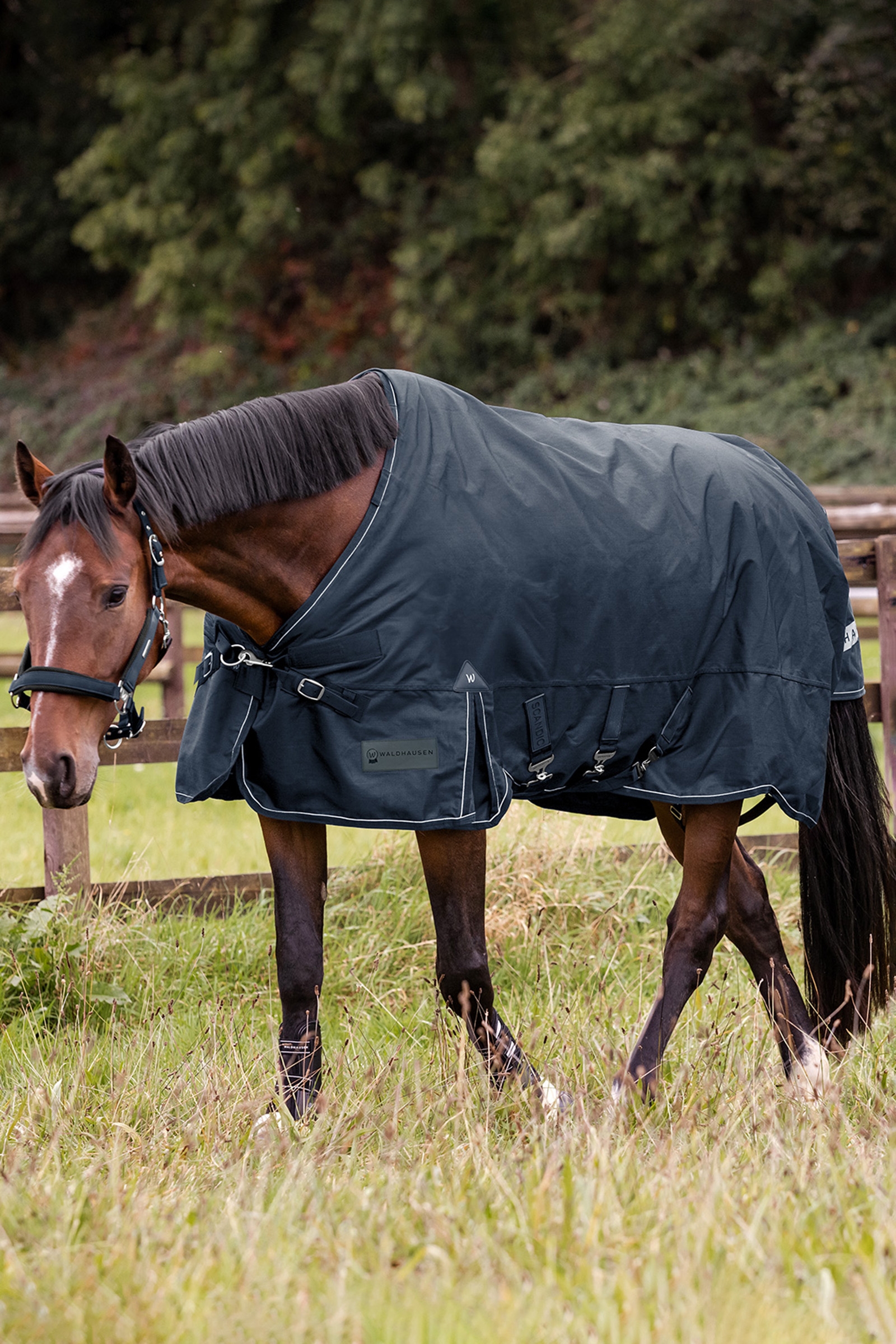 Waldhausen utend&oslash;rsdekken Scandic 100g