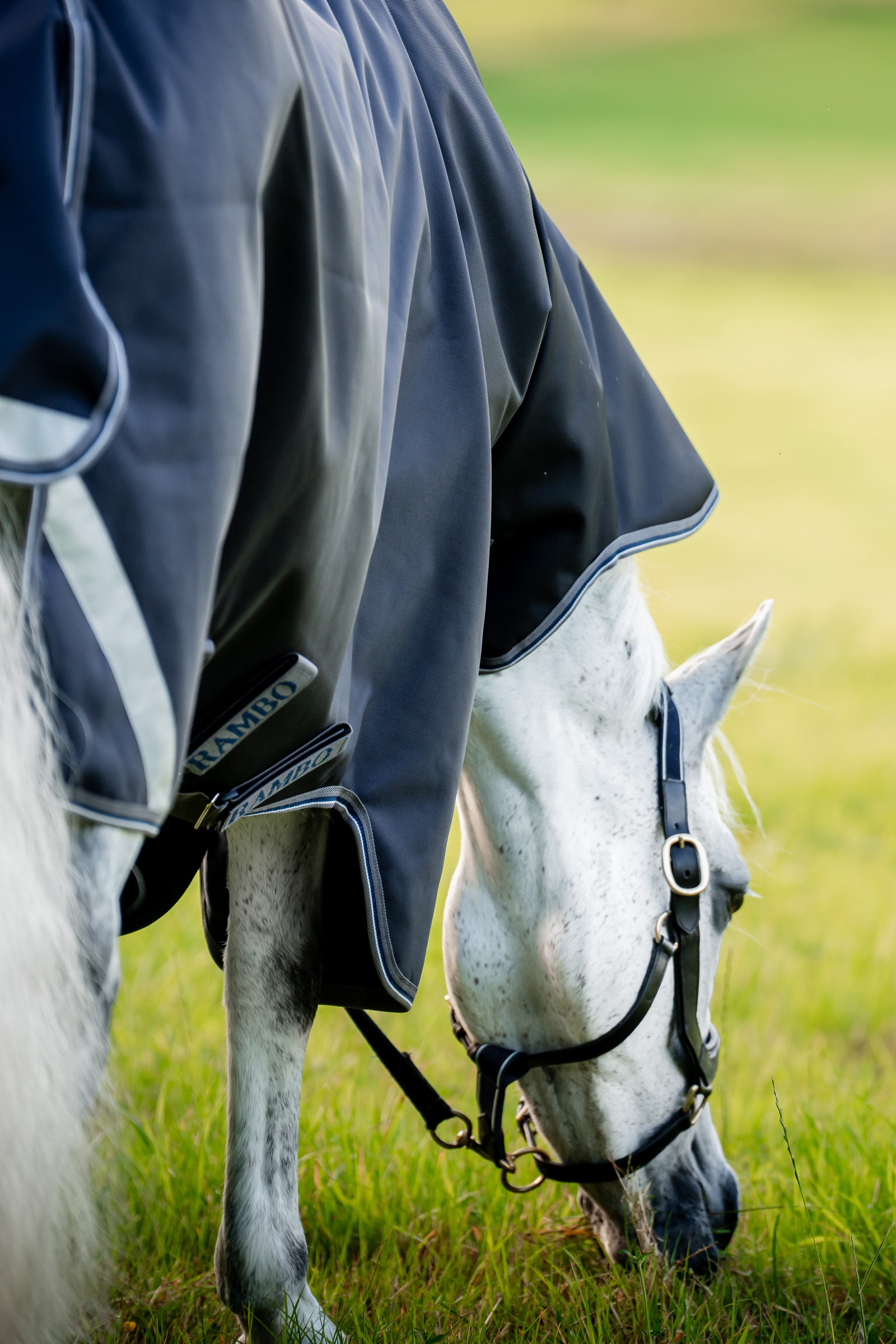 Horseware Rambo 1680D Plus Vario Layer utedekken, 250 g