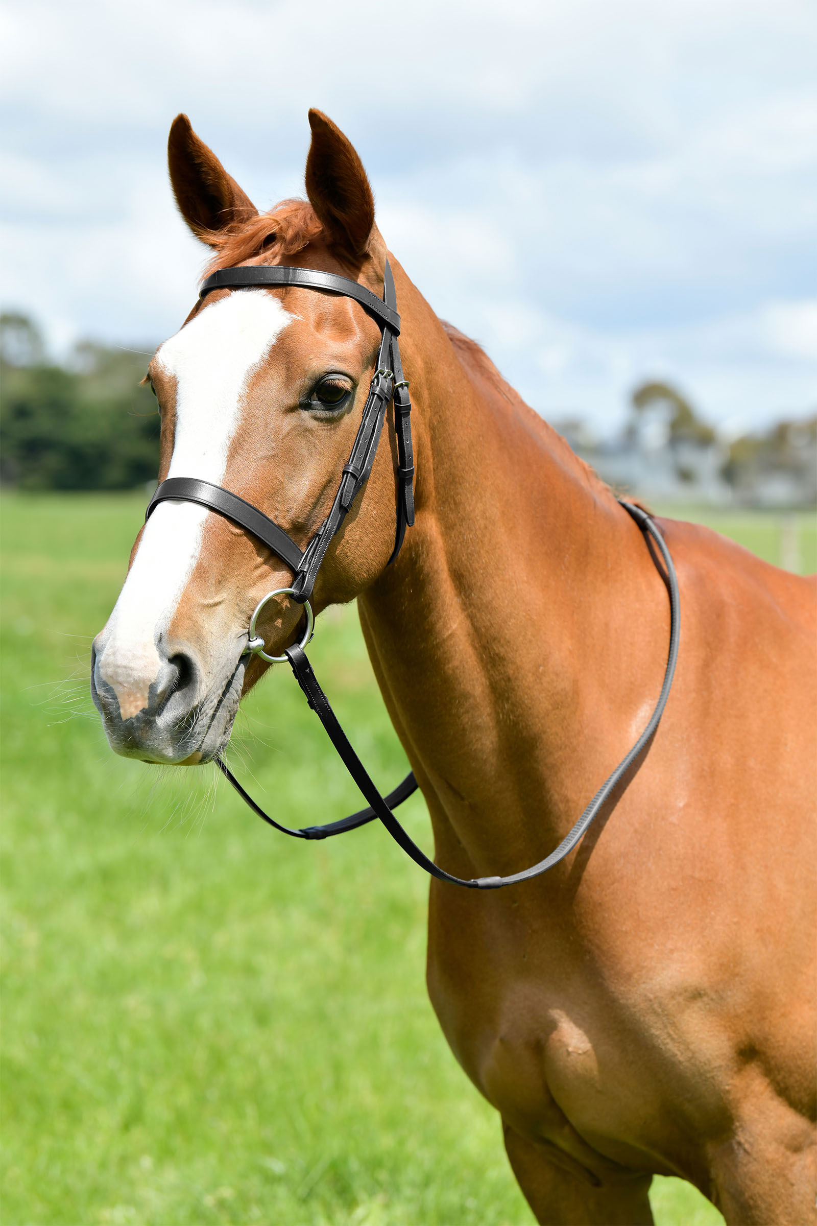 Black Kincade Classic flat jakttrense med t&oslash;yler