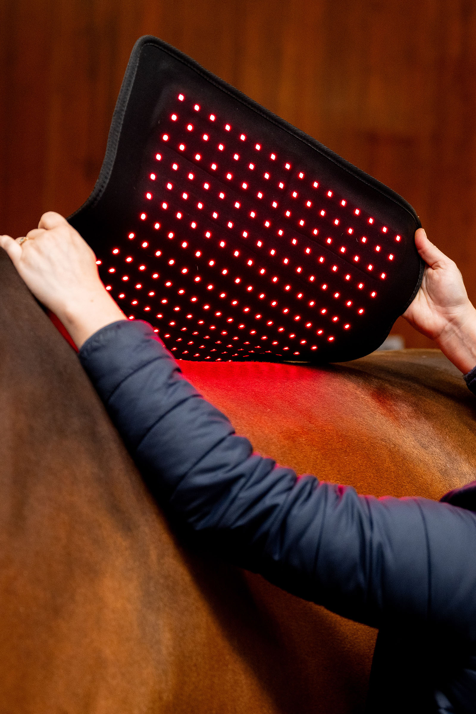 Horseware LED r&oslash;dt lys terapi Pad