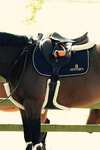 Kentucky Horsewear saueskinnsgjord med mageplate