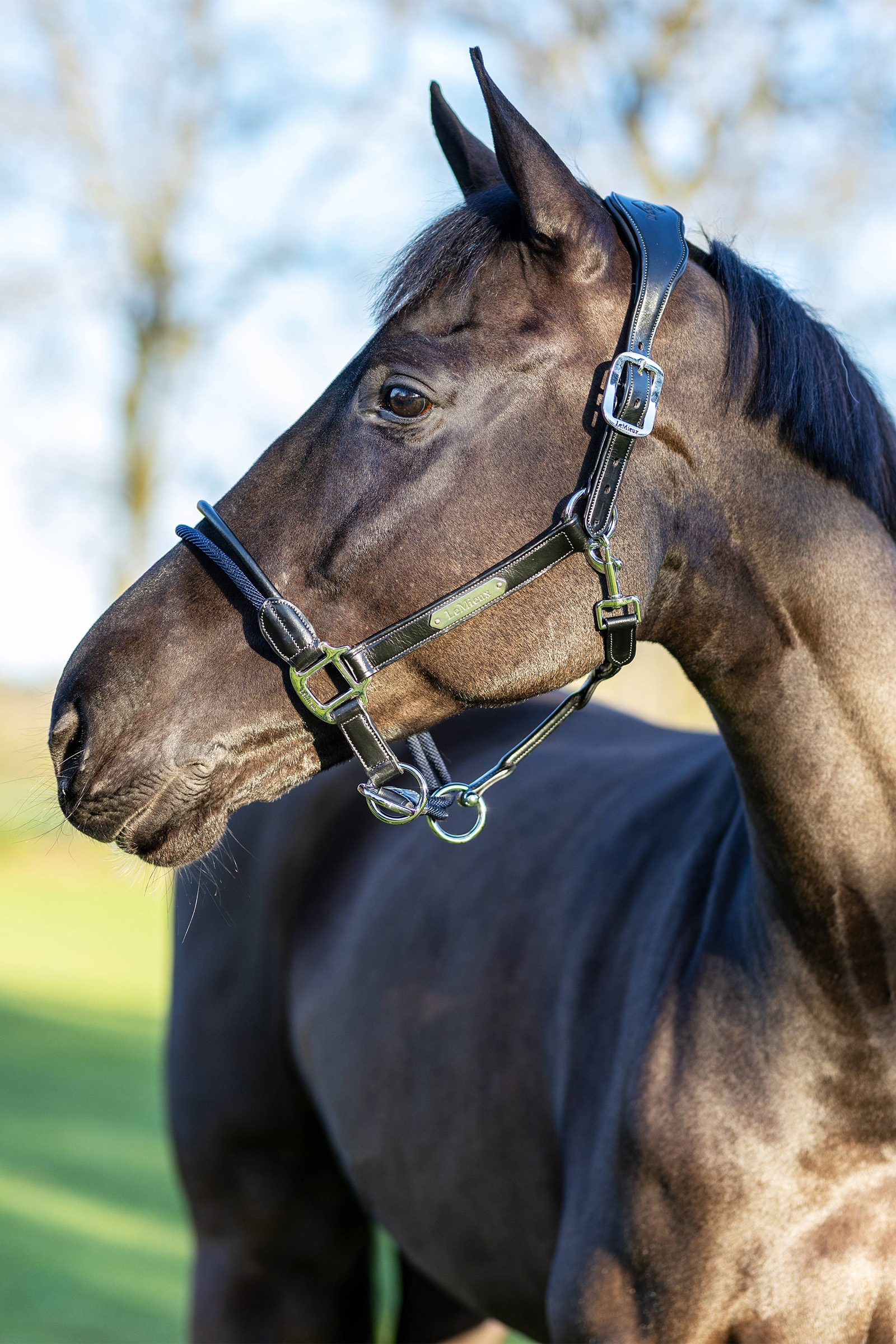 LeMieux Rope Control grime
