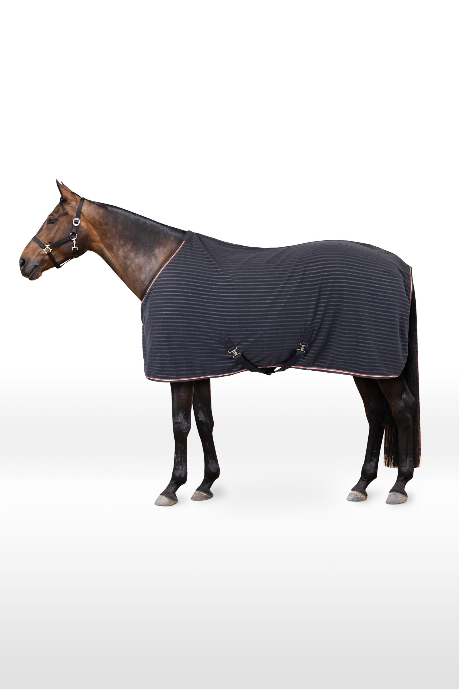Horze Physical Sophistication fleece cooler